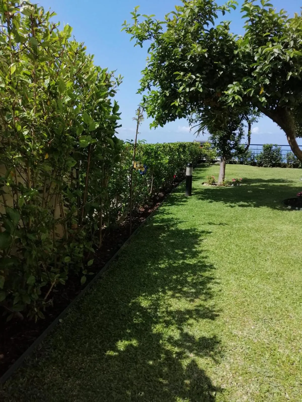 Garden in Luxury villa with private heated pool, garden and views of the sea and mountains.