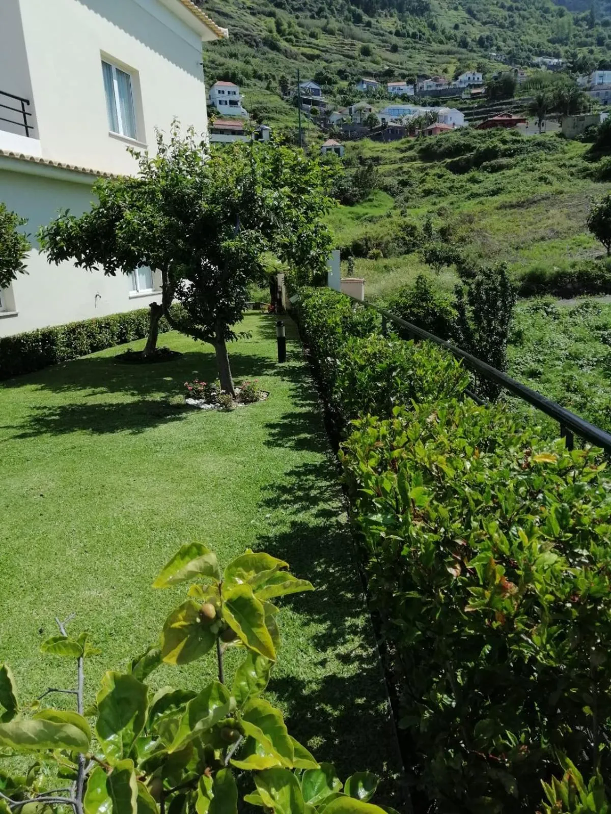 Garden in Luxury villa with private heated pool, garden and views of the sea and mountains.
