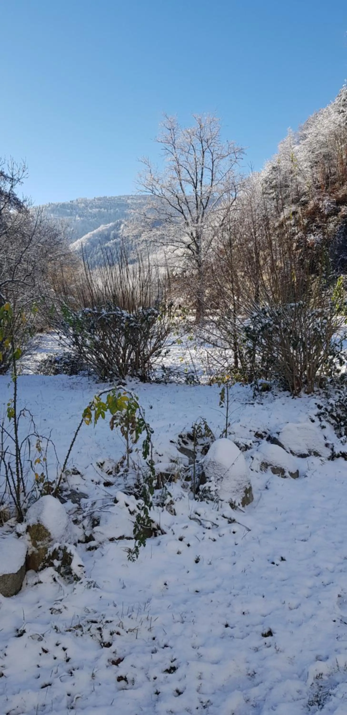 View (from property/room) in Gasthaus Sternen Post