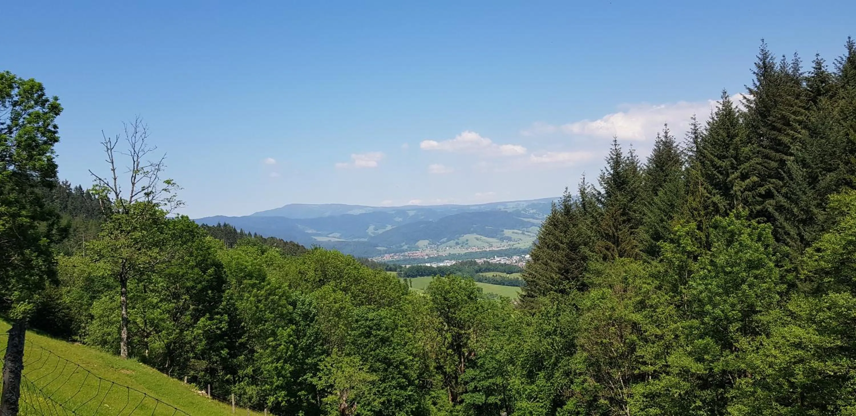 Hiking in Gasthaus Sternen Post