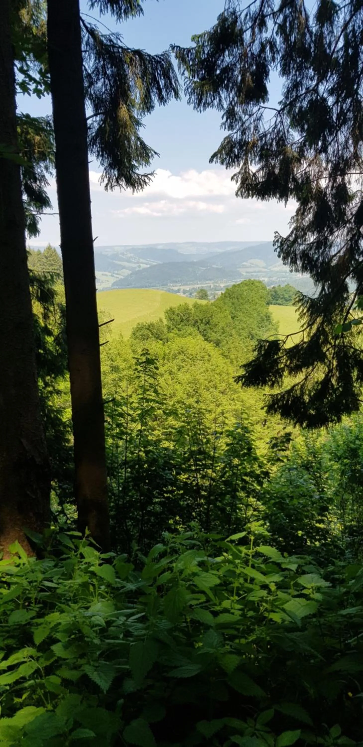 Hiking in Gasthaus Sternen Post