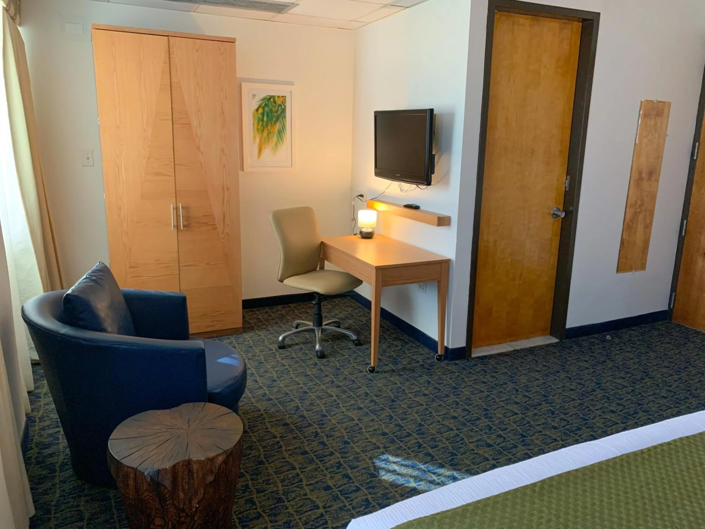 TV and multimedia in Ficus Hotel