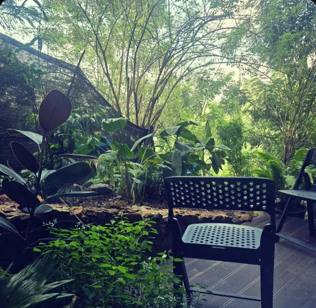 Double Room with Terrace in Namara Green Ella Double Room with Terrace in Namara Green Ella