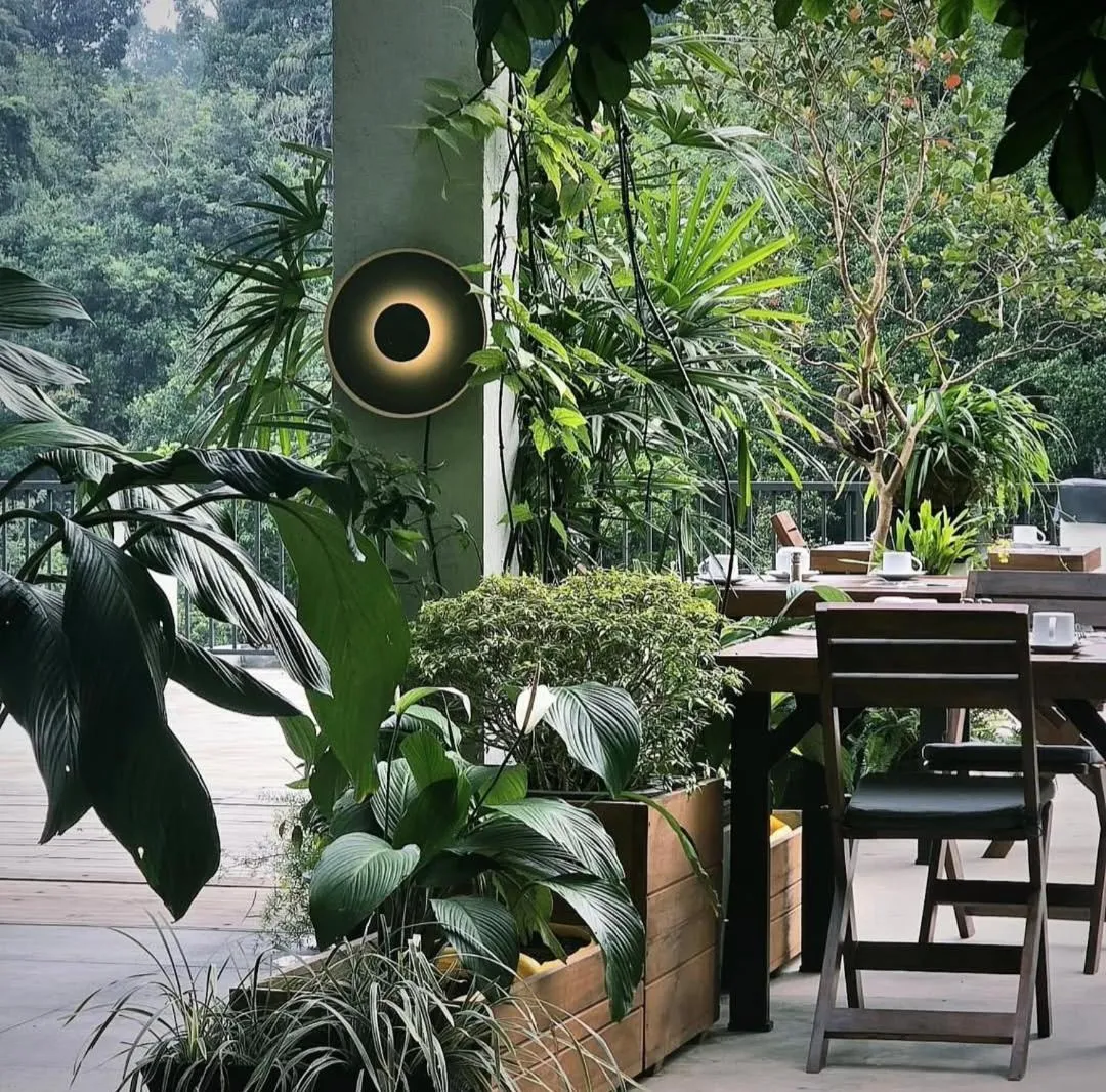 Natural landscape in Namara Green Ella