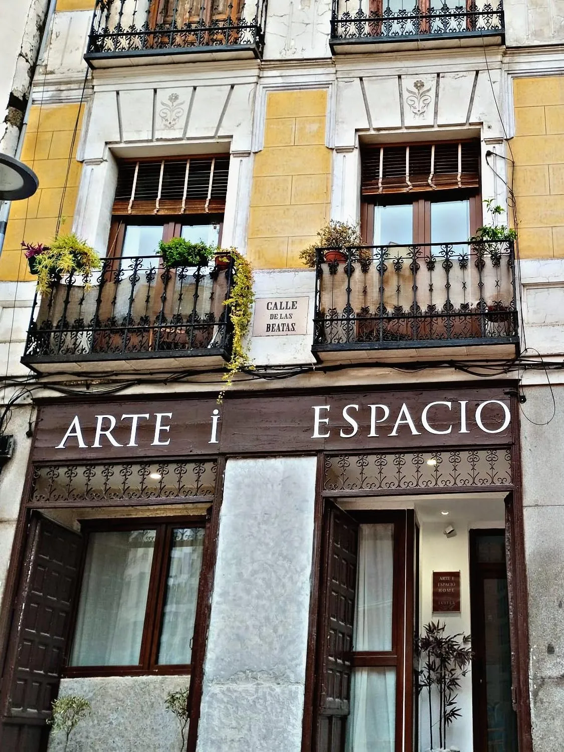 Arte i Espacio Home