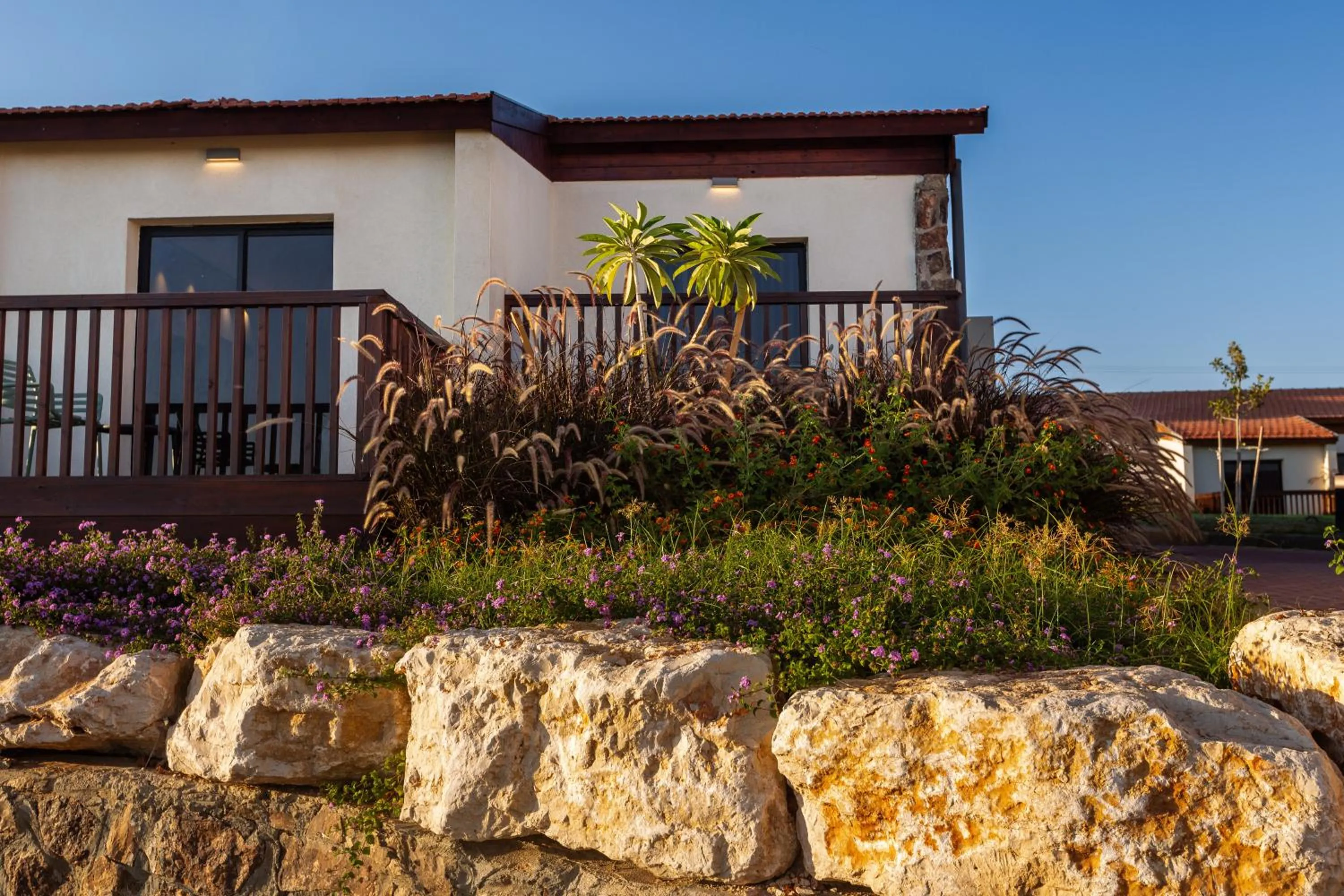 Garden in Roxon Desert Arad
