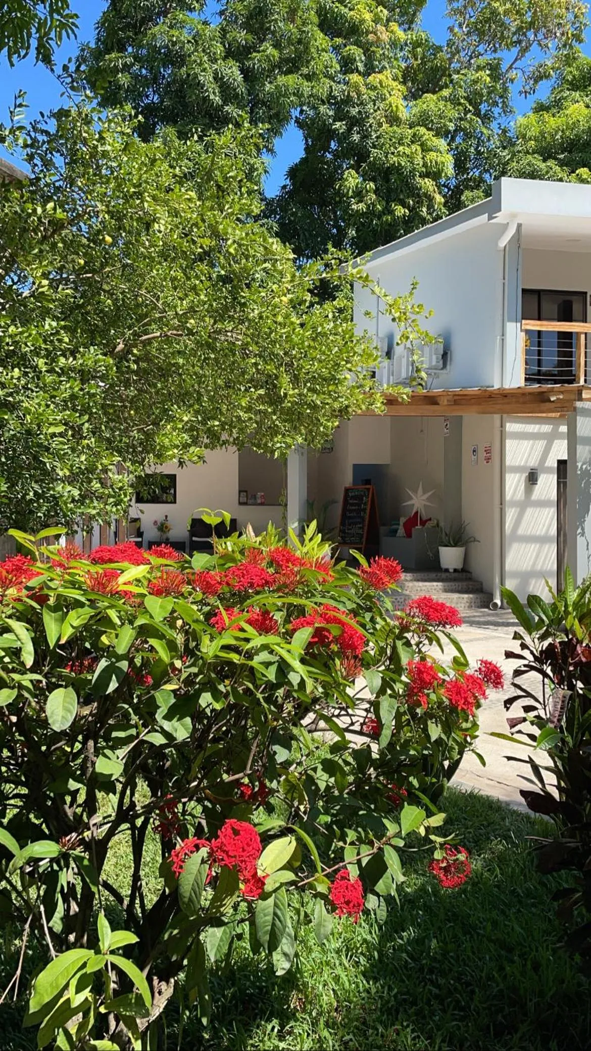 Garden in HOTEL EL VIAJERO