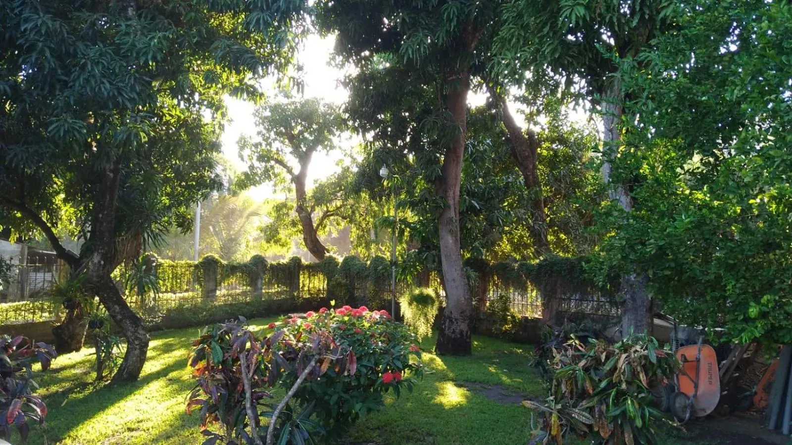 Garden in HOTEL EL VIAJERO