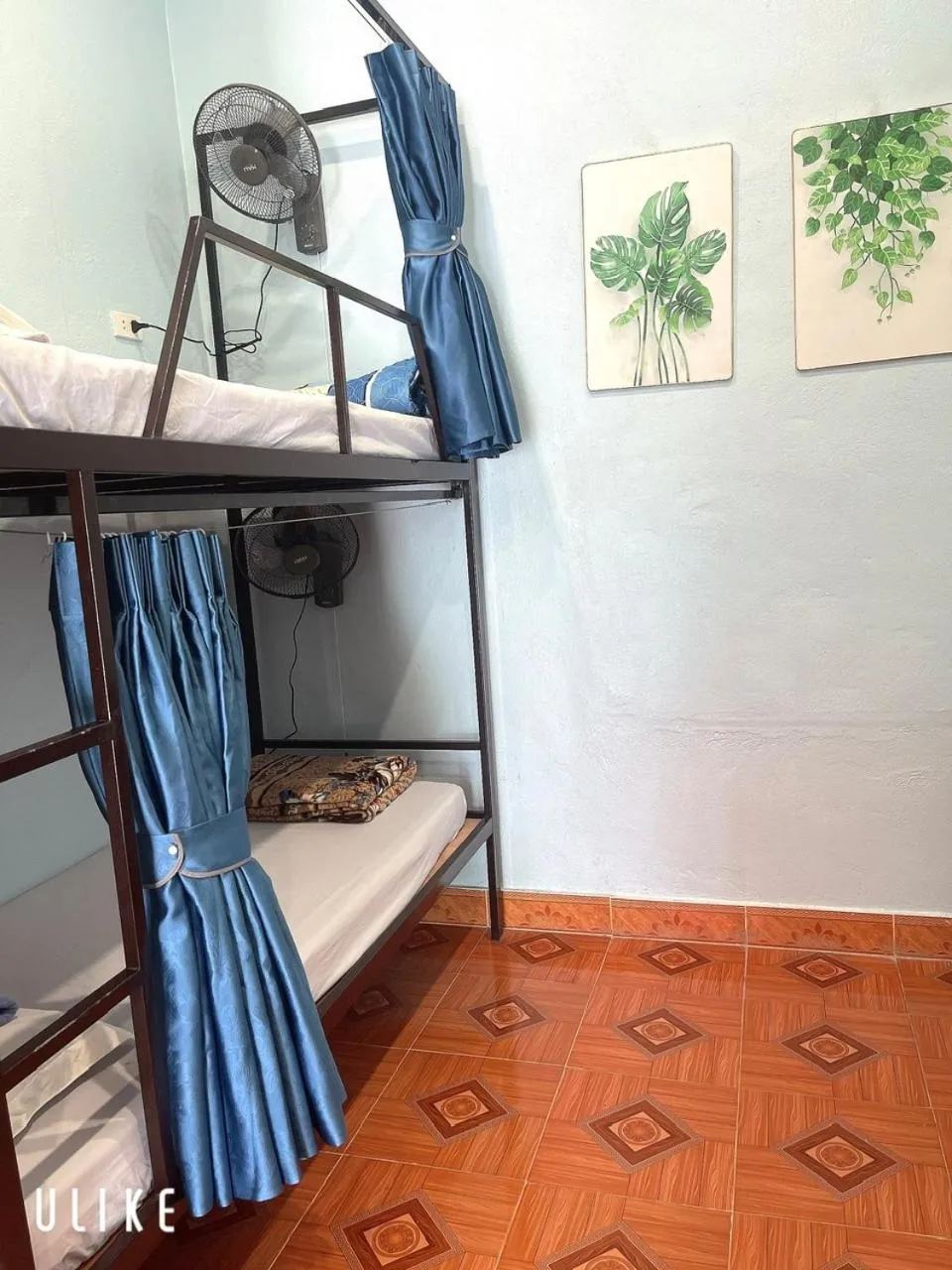 bunk bed, Bed in Cat Ba SOL Beach