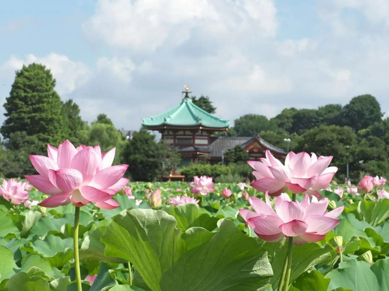 Nearby landmark in &Here TOKYO UENO
