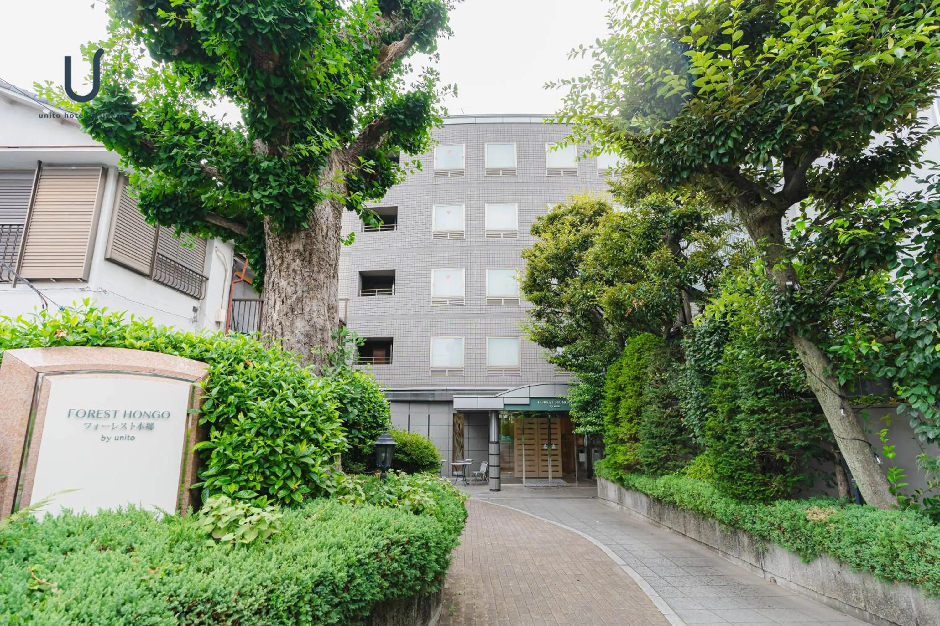 Forest Hongo by unito