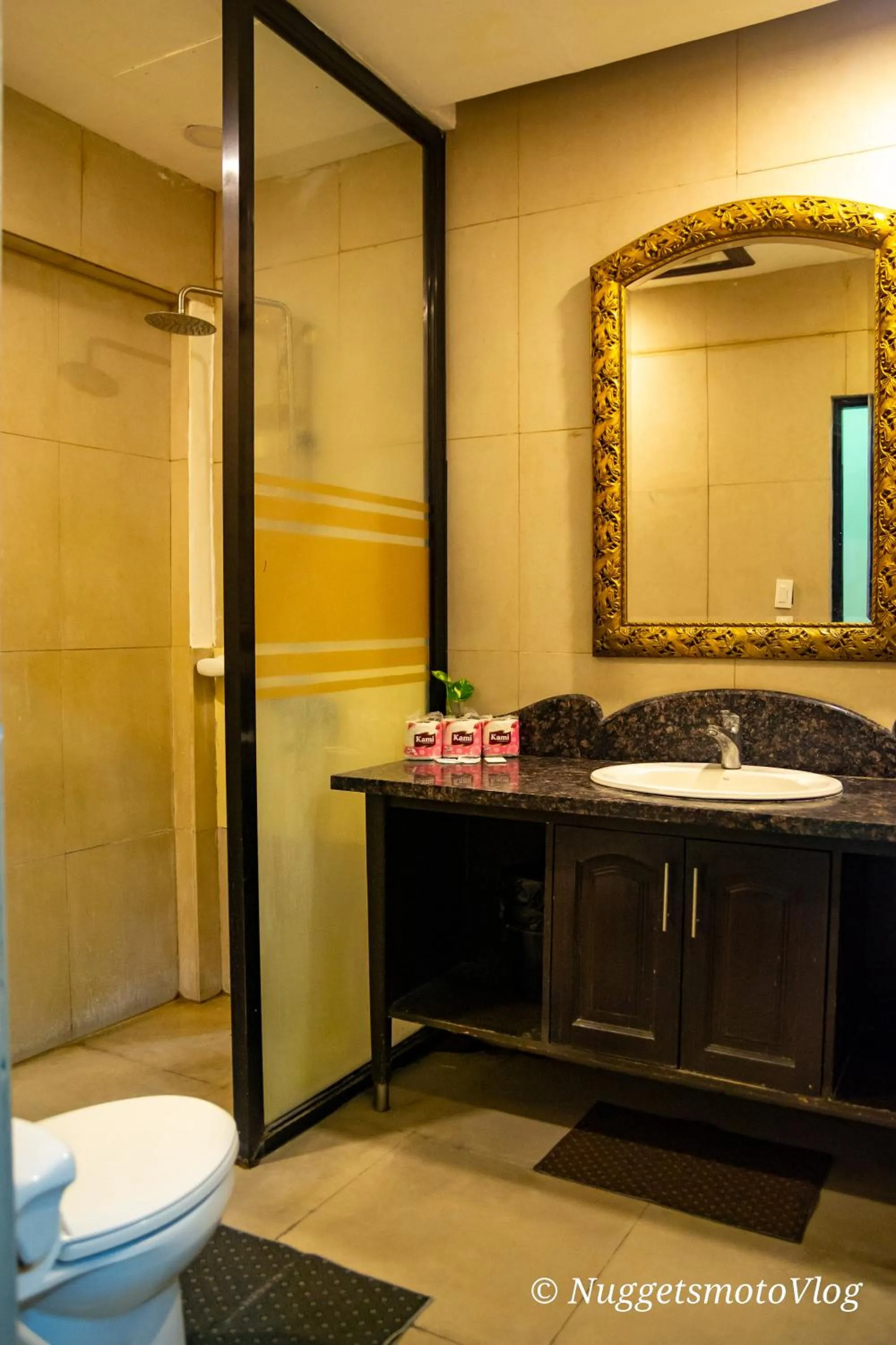 Toilet in Grand Central Hotel