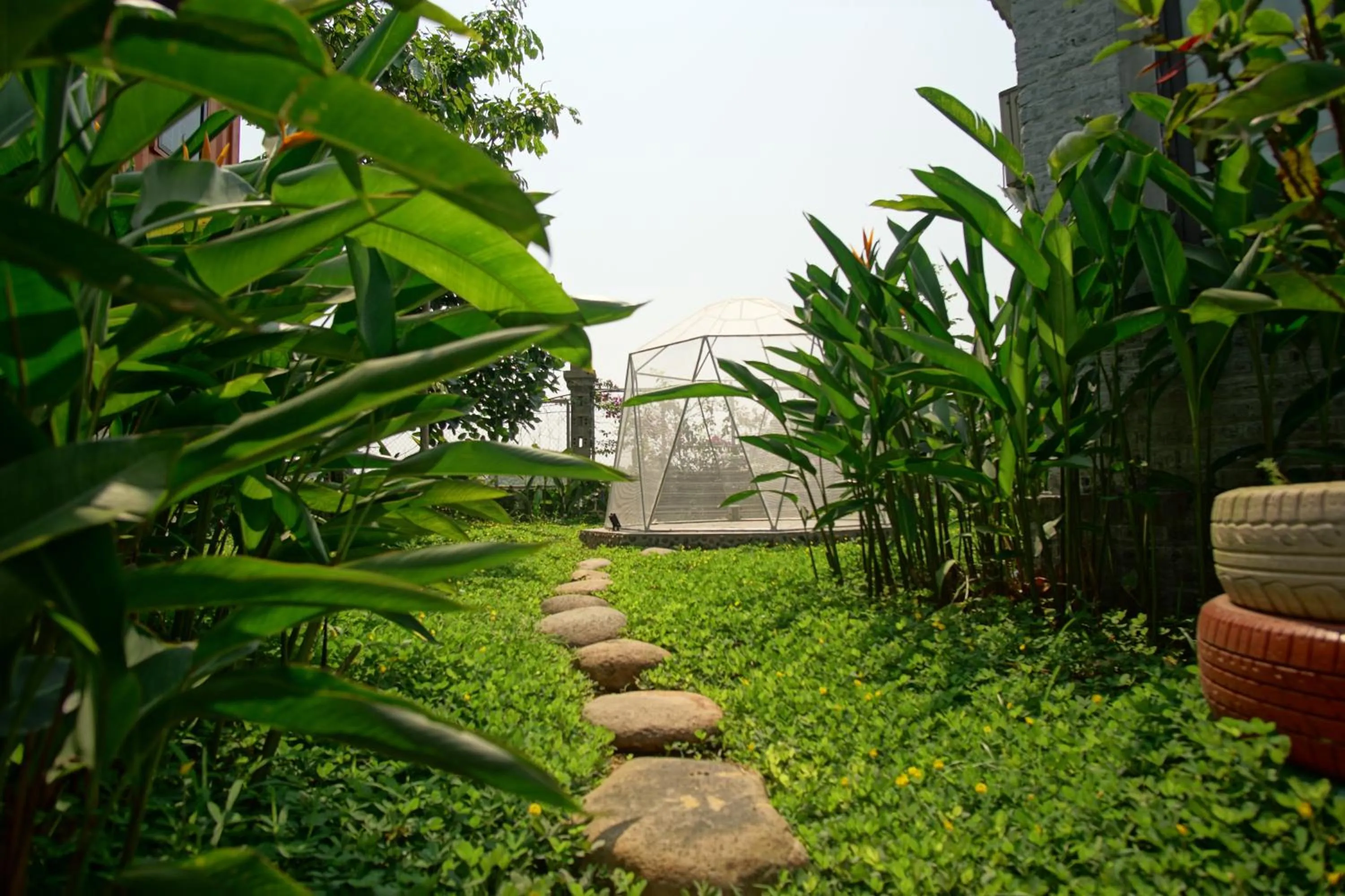 Spring in The Factory Ba Vì