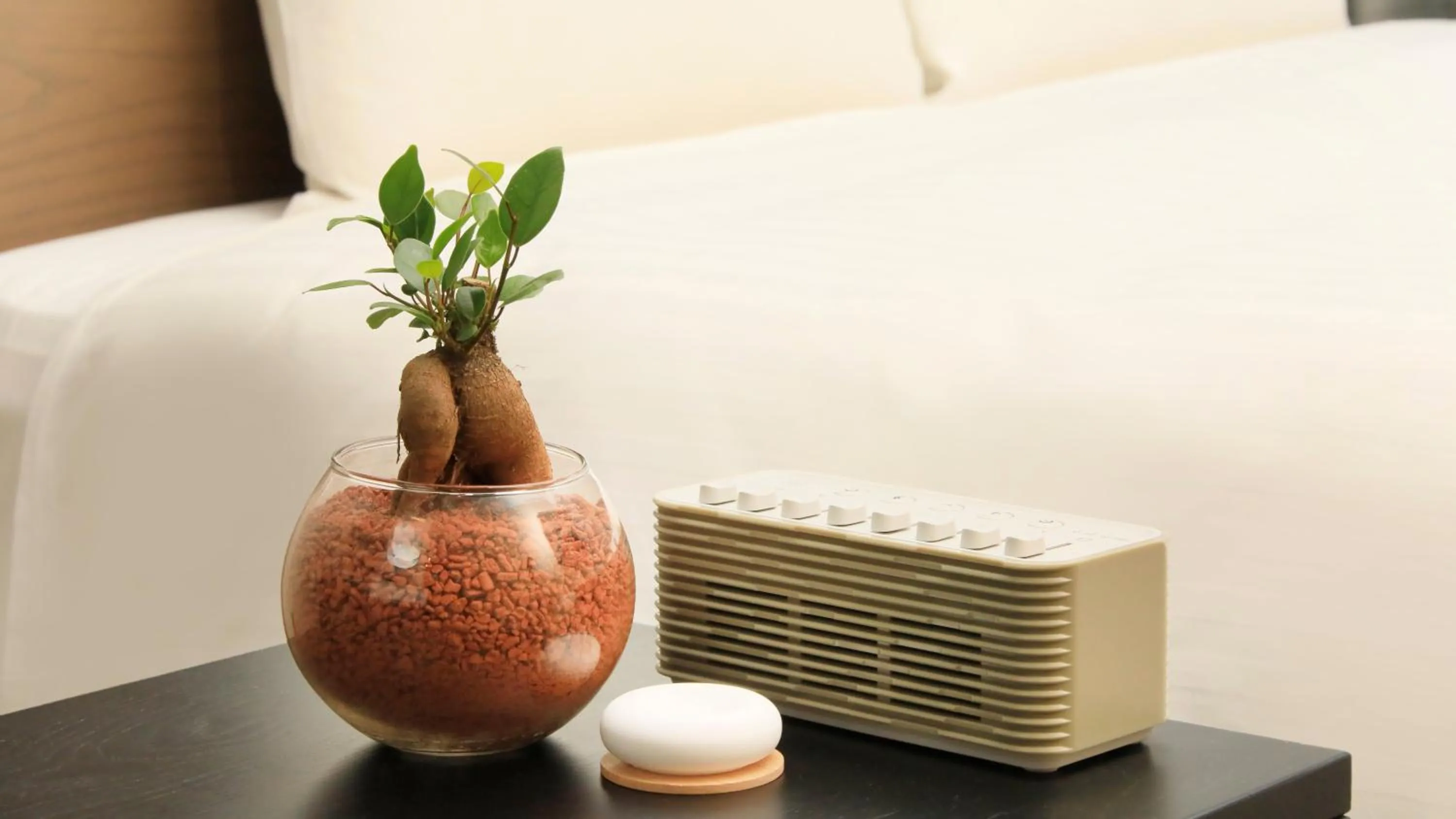 Decorative detail, Bed in Quintessa Hotel Kokura Comic & Books