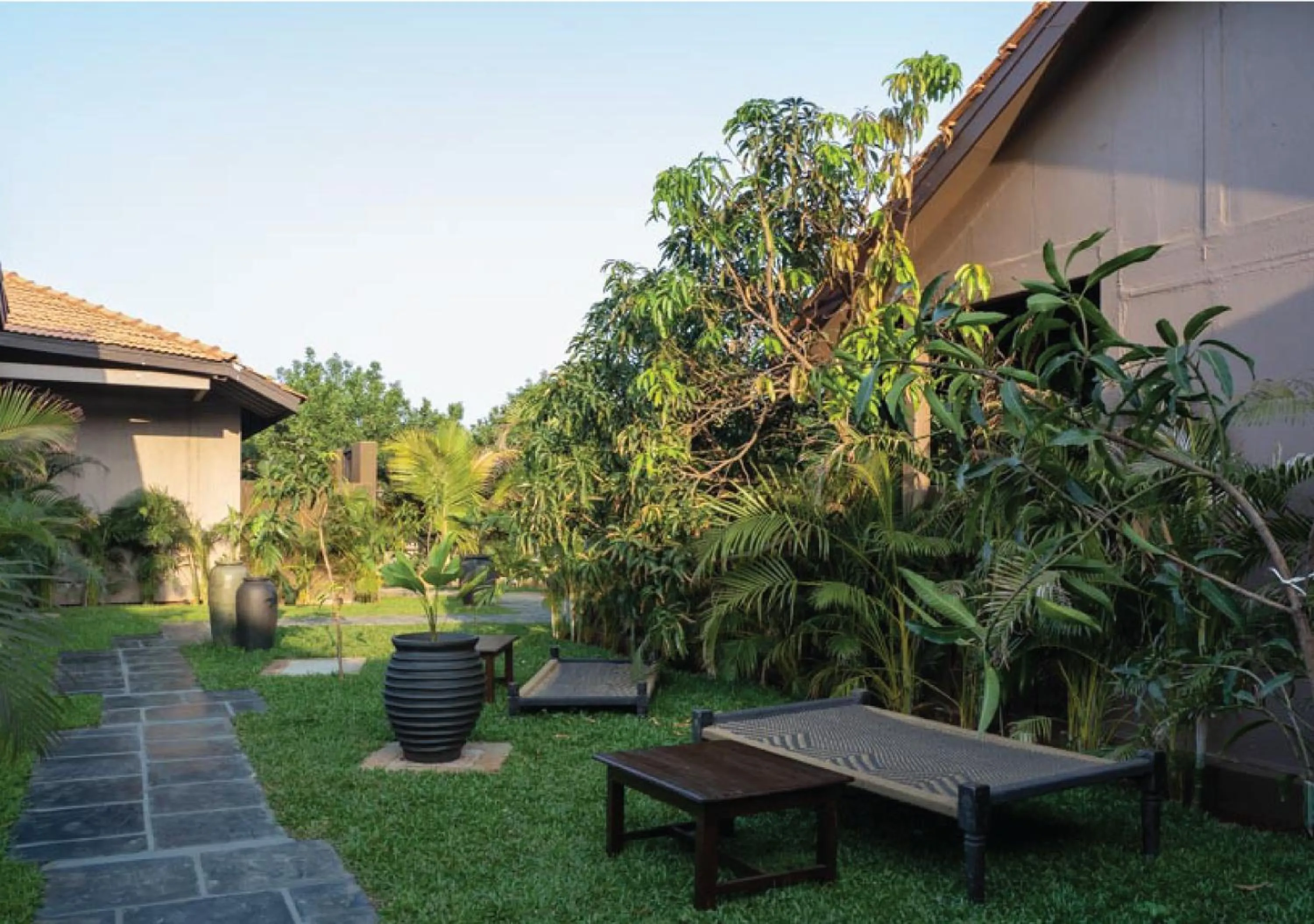 Garden in Red Thread Morjim