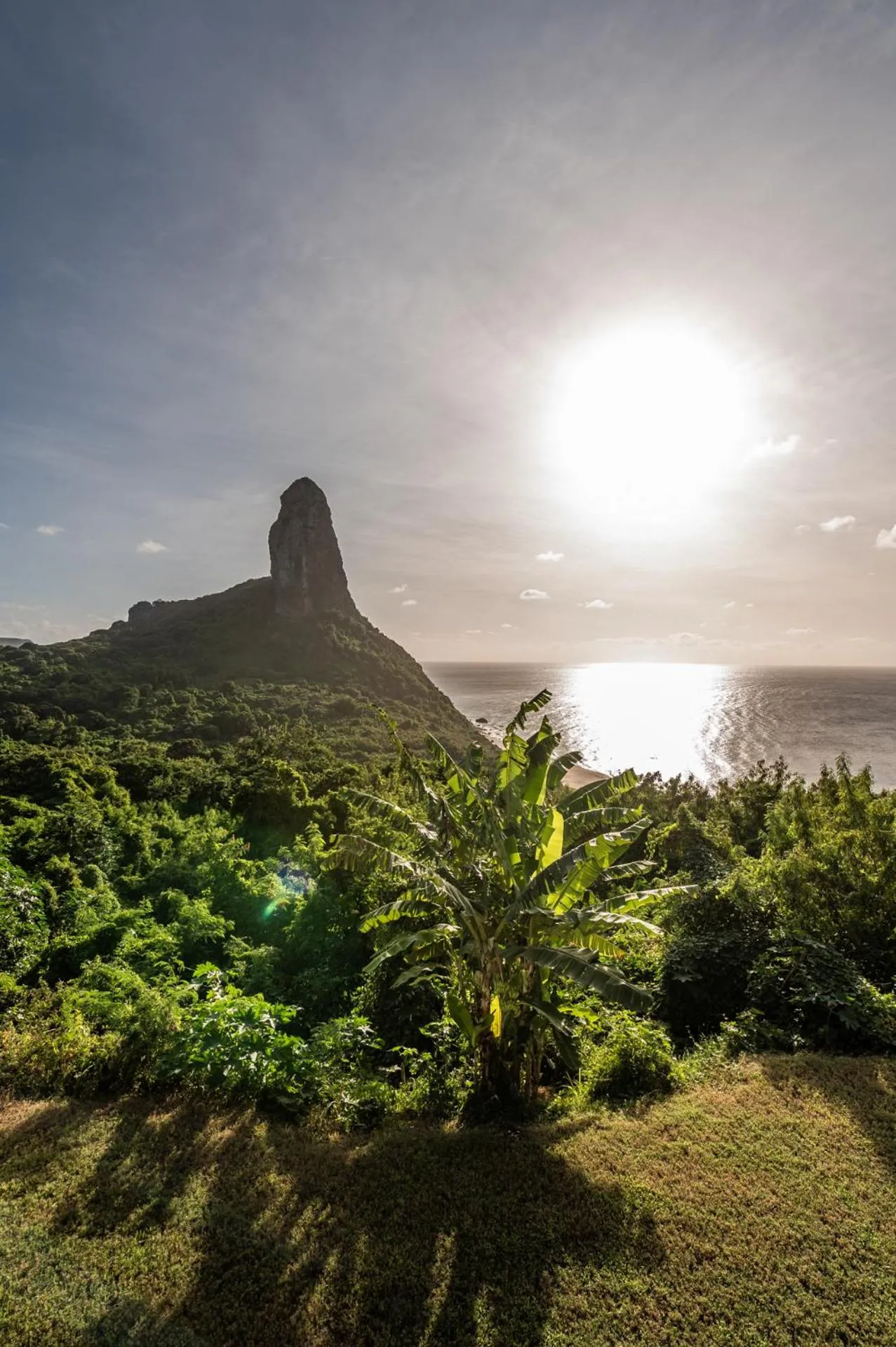 Hamares Boutique Hotel