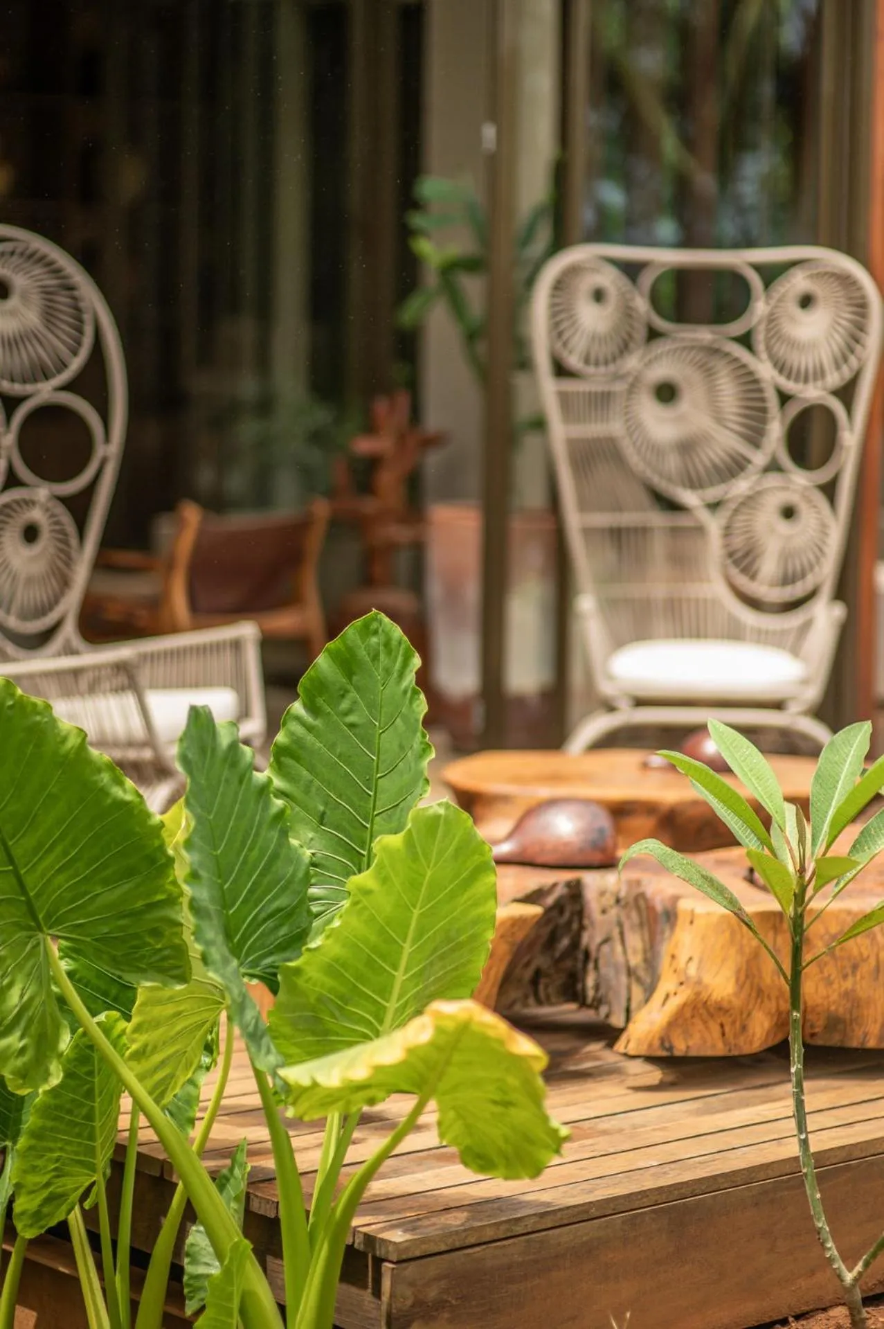 Hamares Boutique Hotel