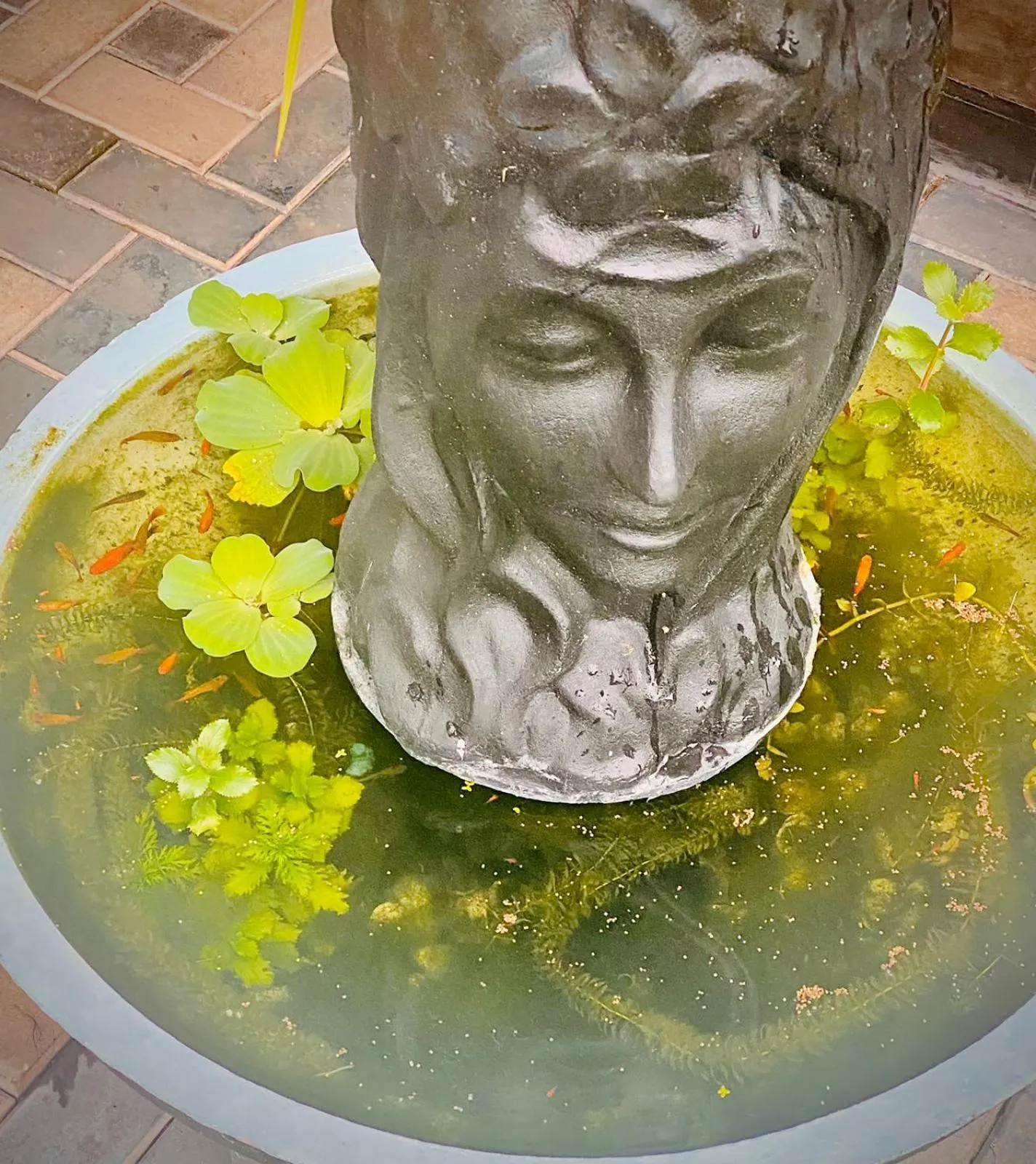 Garden in Airport Faith Hotel