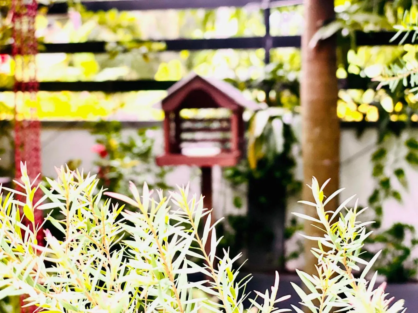 Garden in Airport Faith Hotel