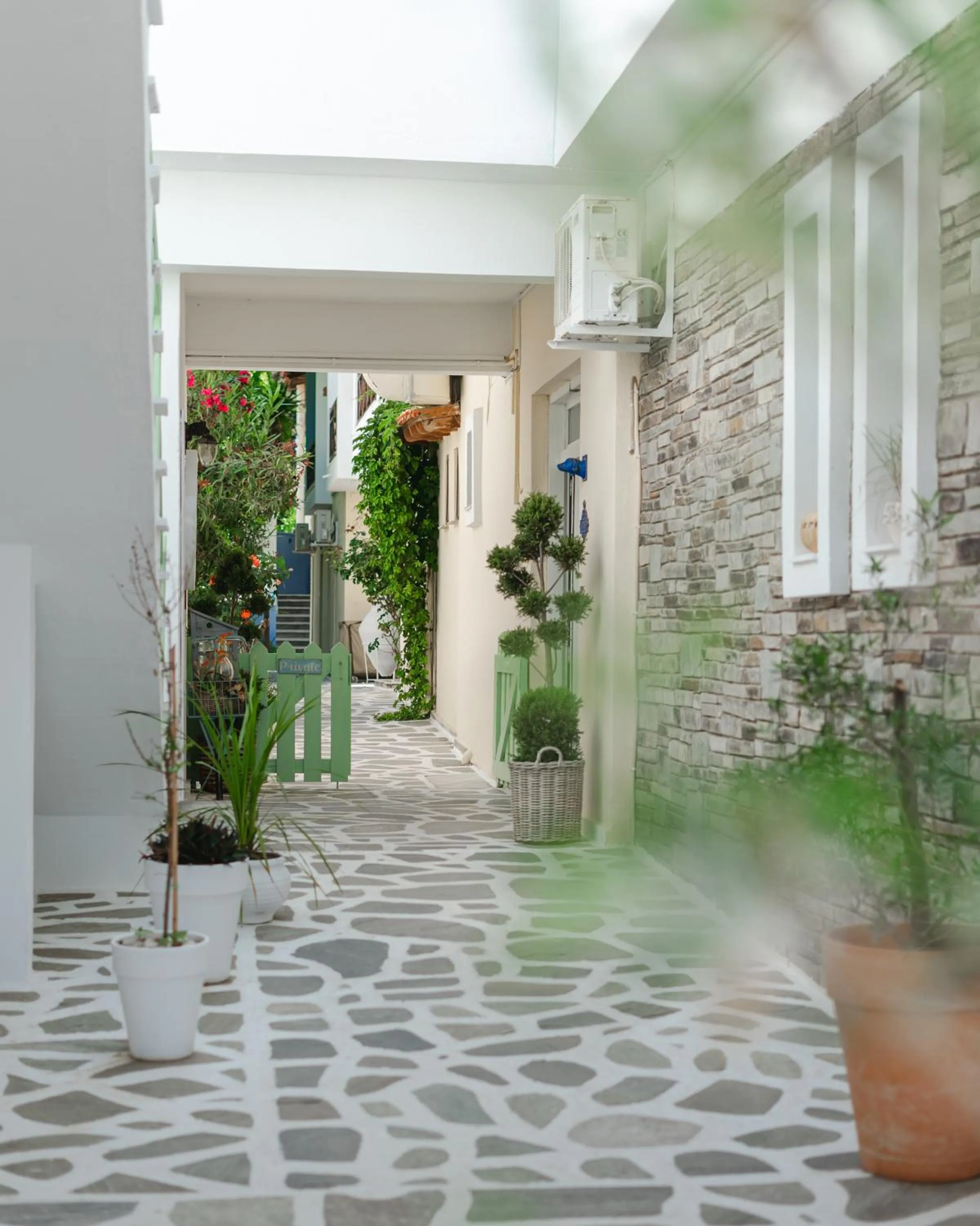 Patio in Xenios Zeus