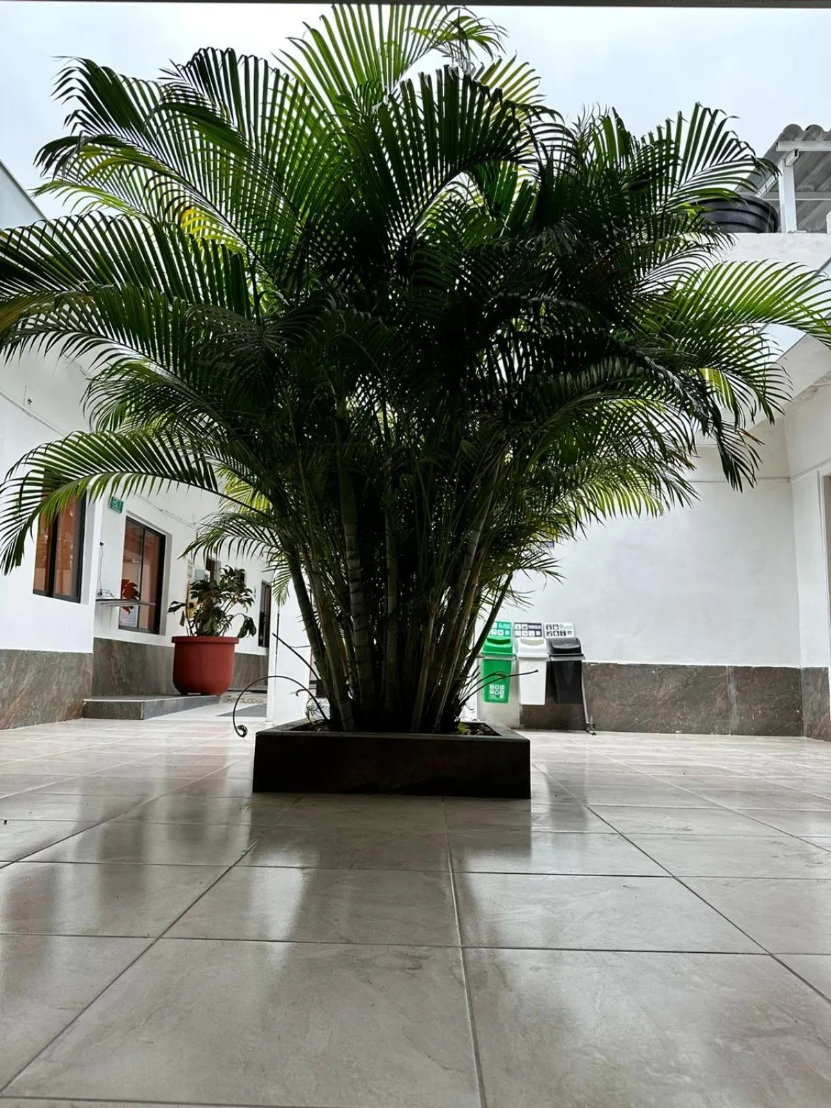 Garden in SGH hotel Mathilu Rodadero