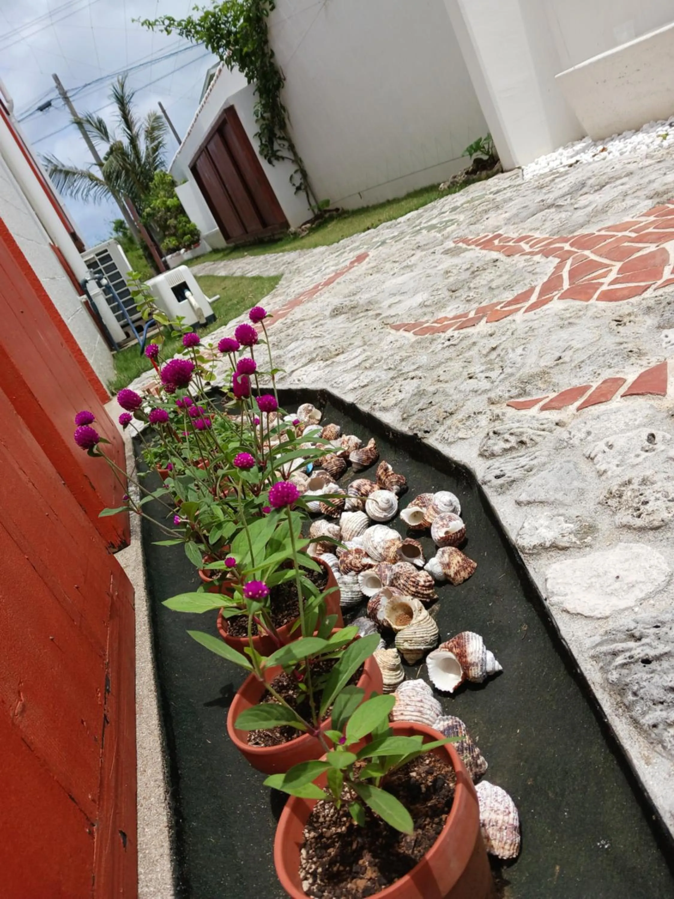 Day in そよ旅 Soyotabi