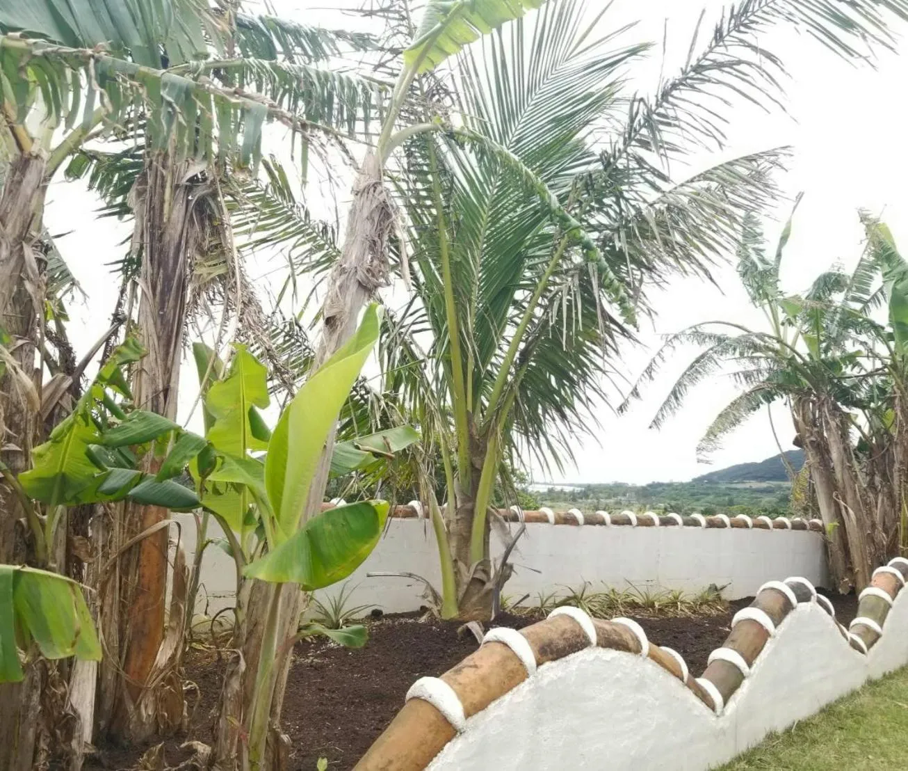 Garden in そよ旅 Soyotabi