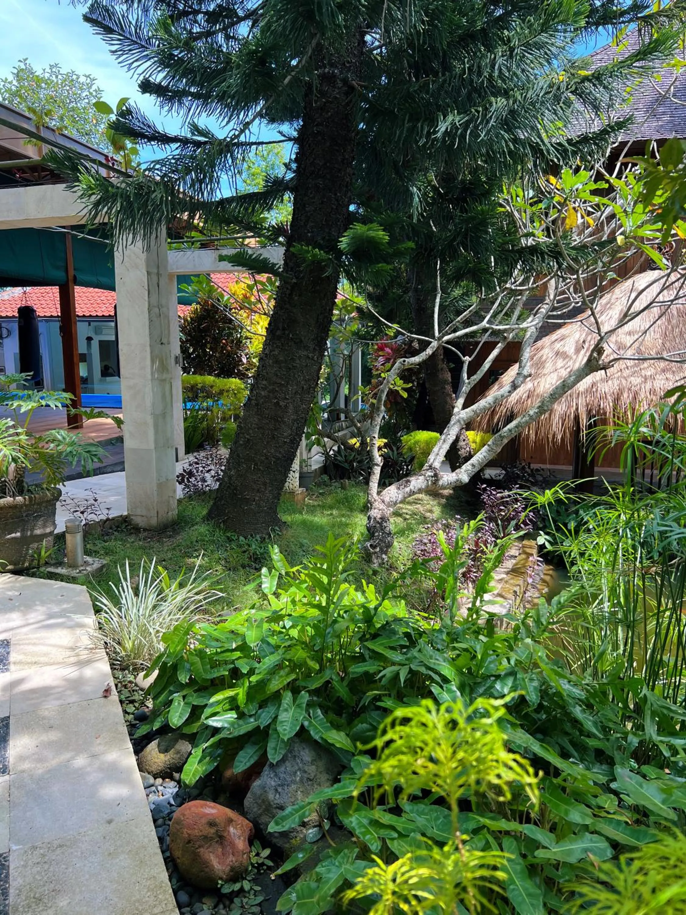 Natural landscape in Villa Neshama