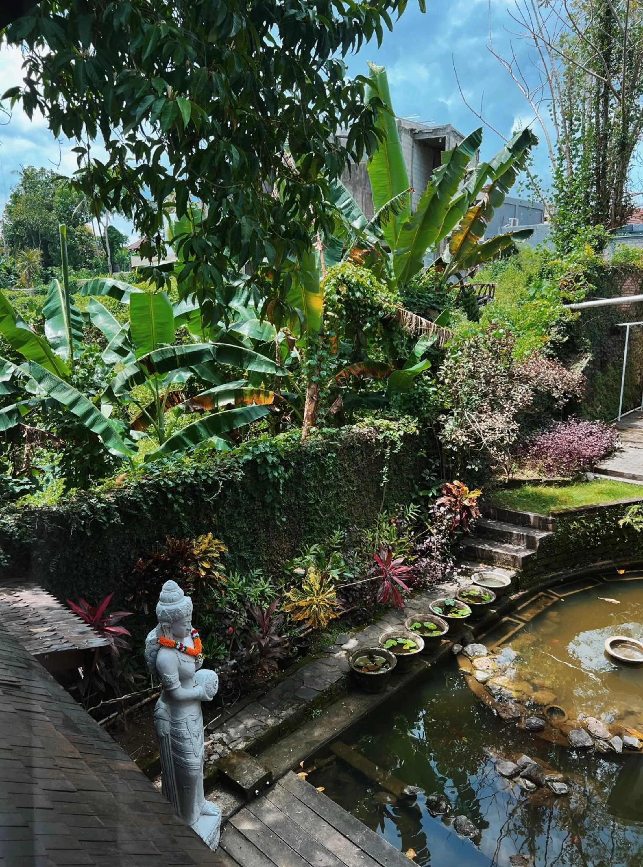 Natural landscape in Villa Neshama