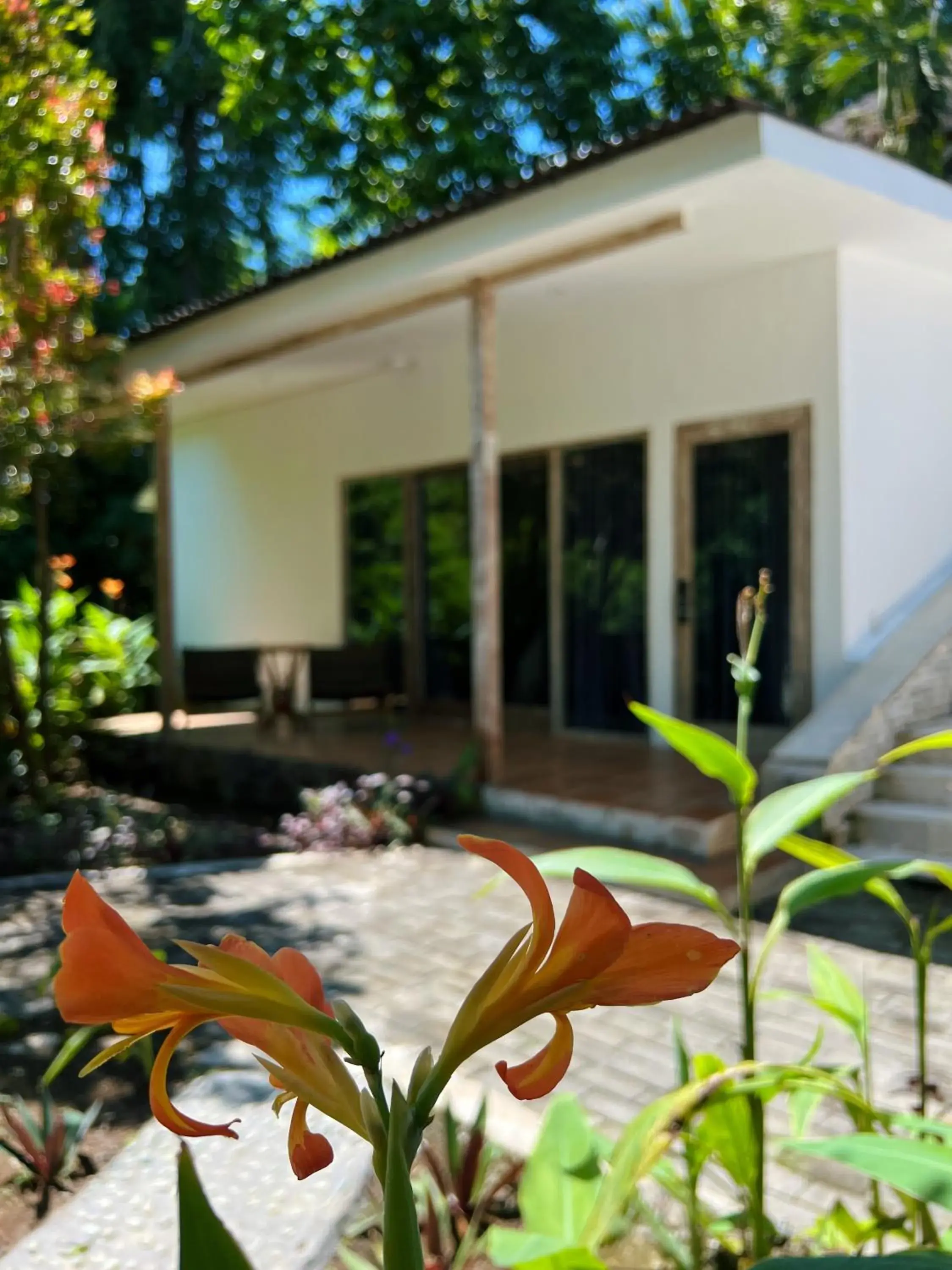 Property building in Villa Neshama Property building in Villa Neshama