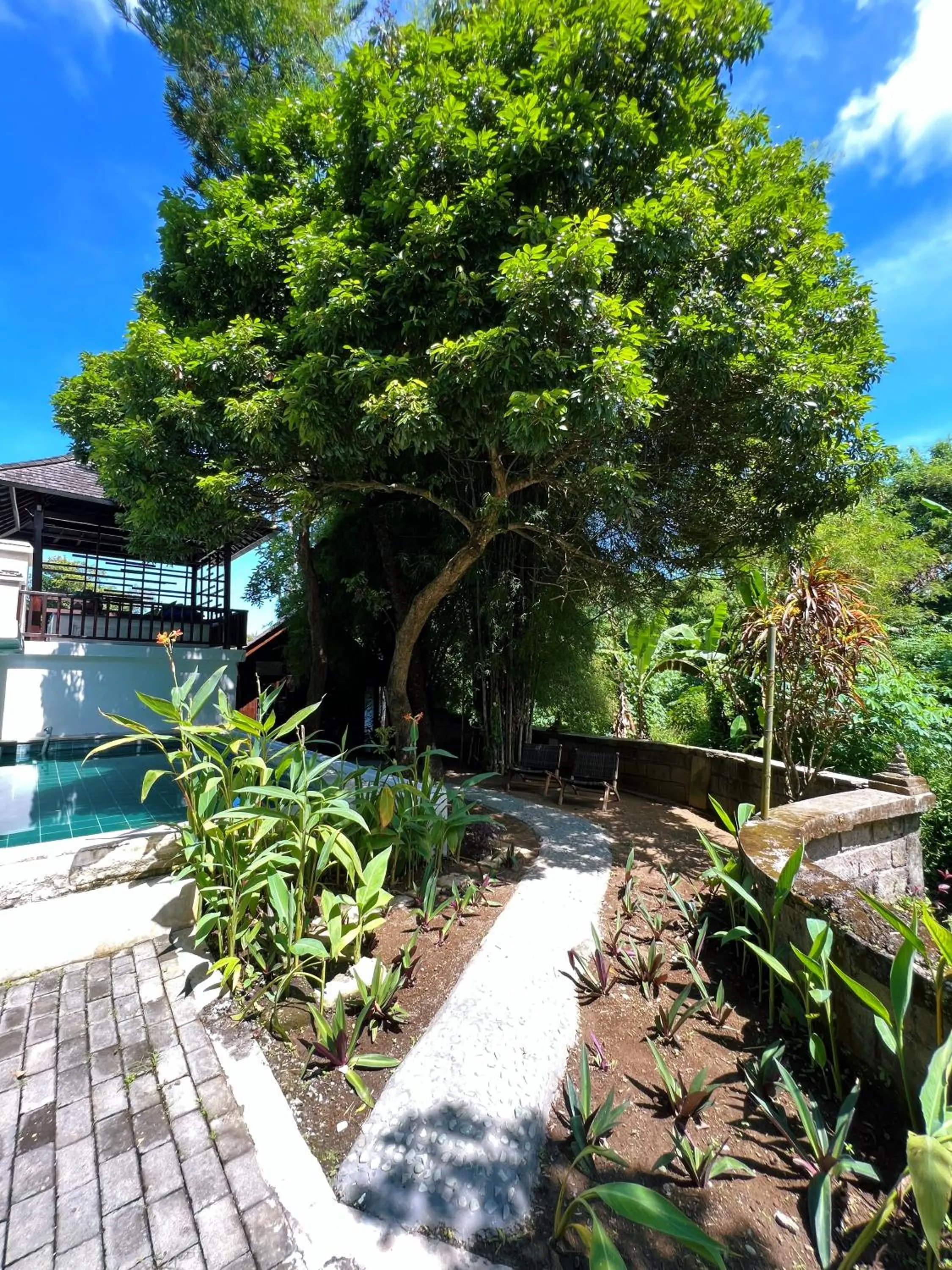 Garden in Villa Neshama