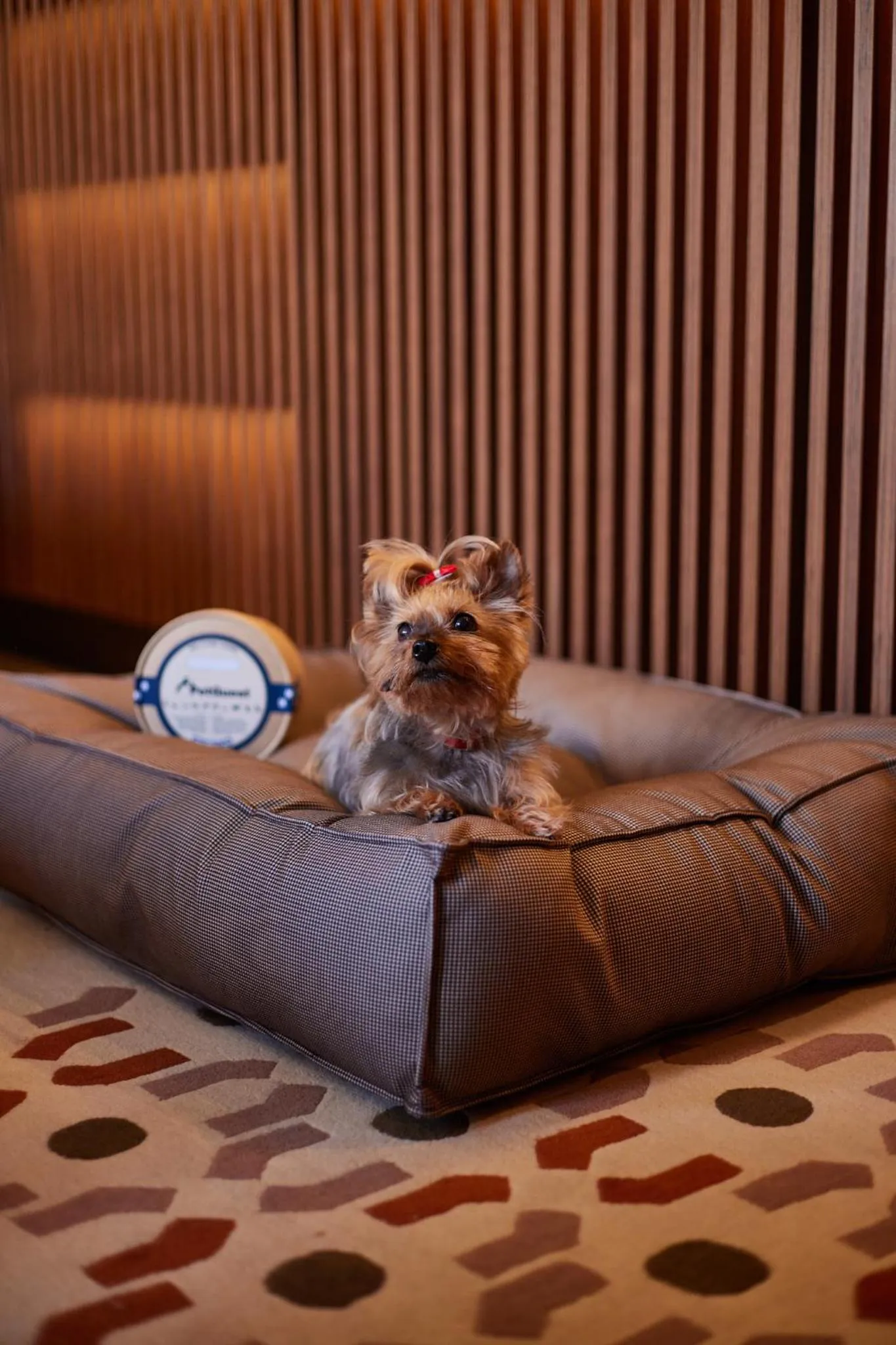 Pets in Grand Hotel Central, Small Luxury Hotels