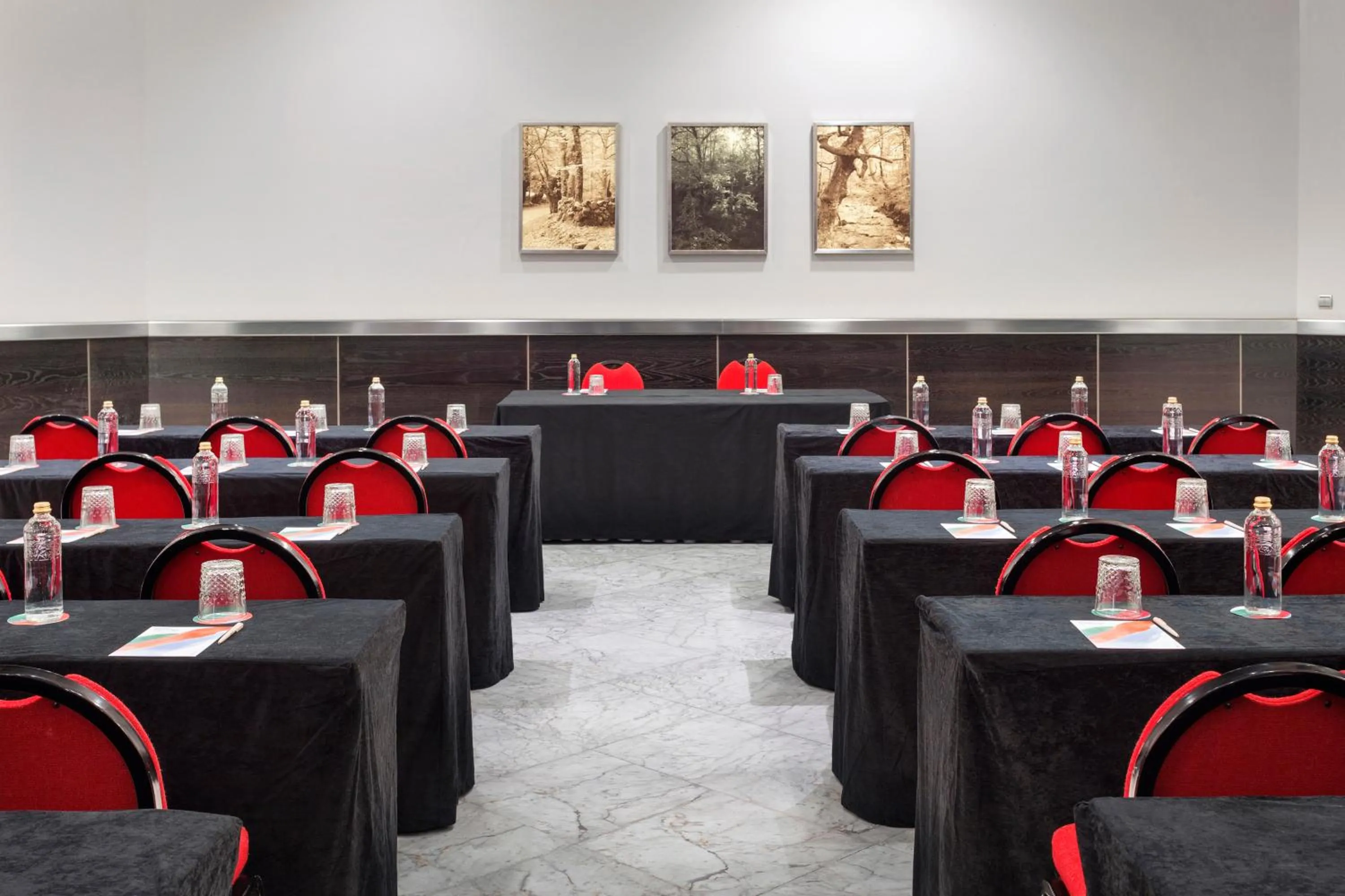 Banquet/Function facilities in Melia Maria Pita