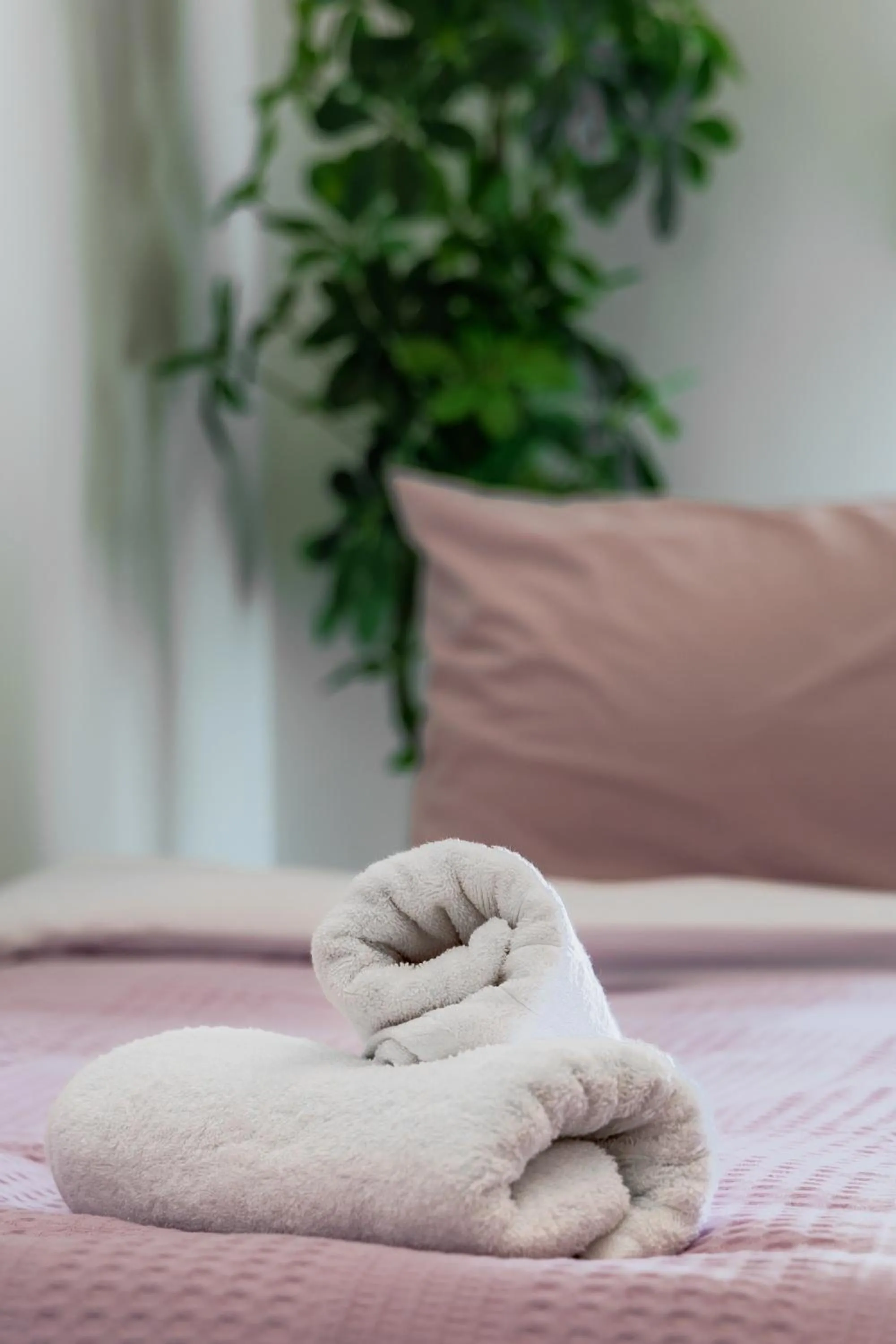 Bed in Sunny & Modern apt for 3 persons