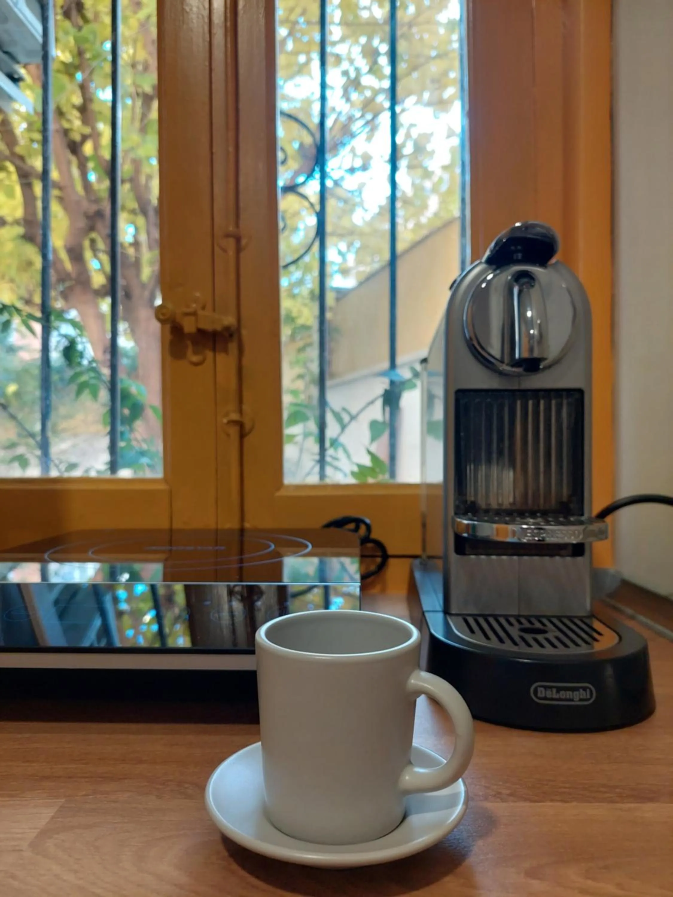 N1 Casa de Madrid - greenpeace line