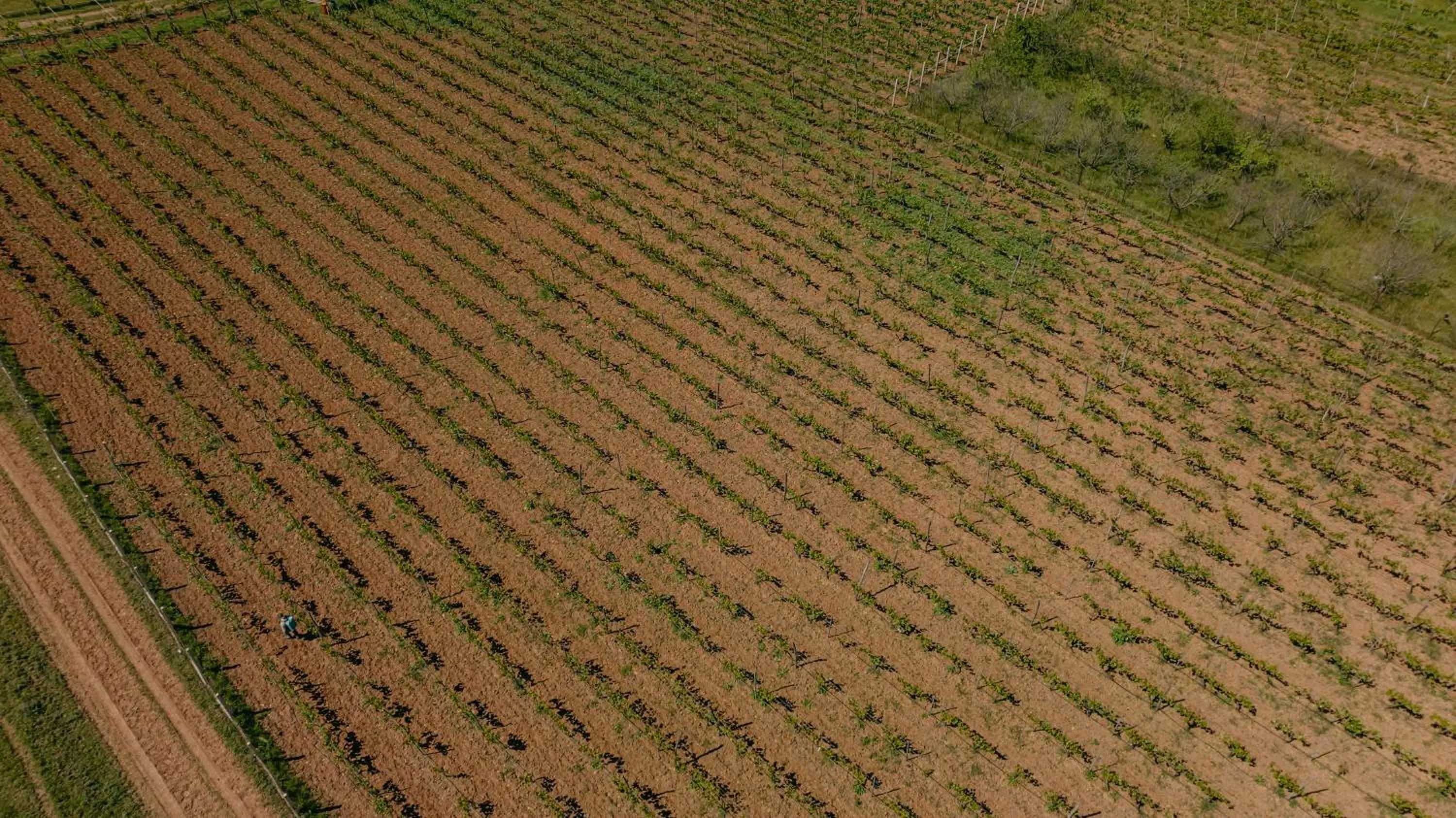 Natural landscape in Chateau Ateni Cottages