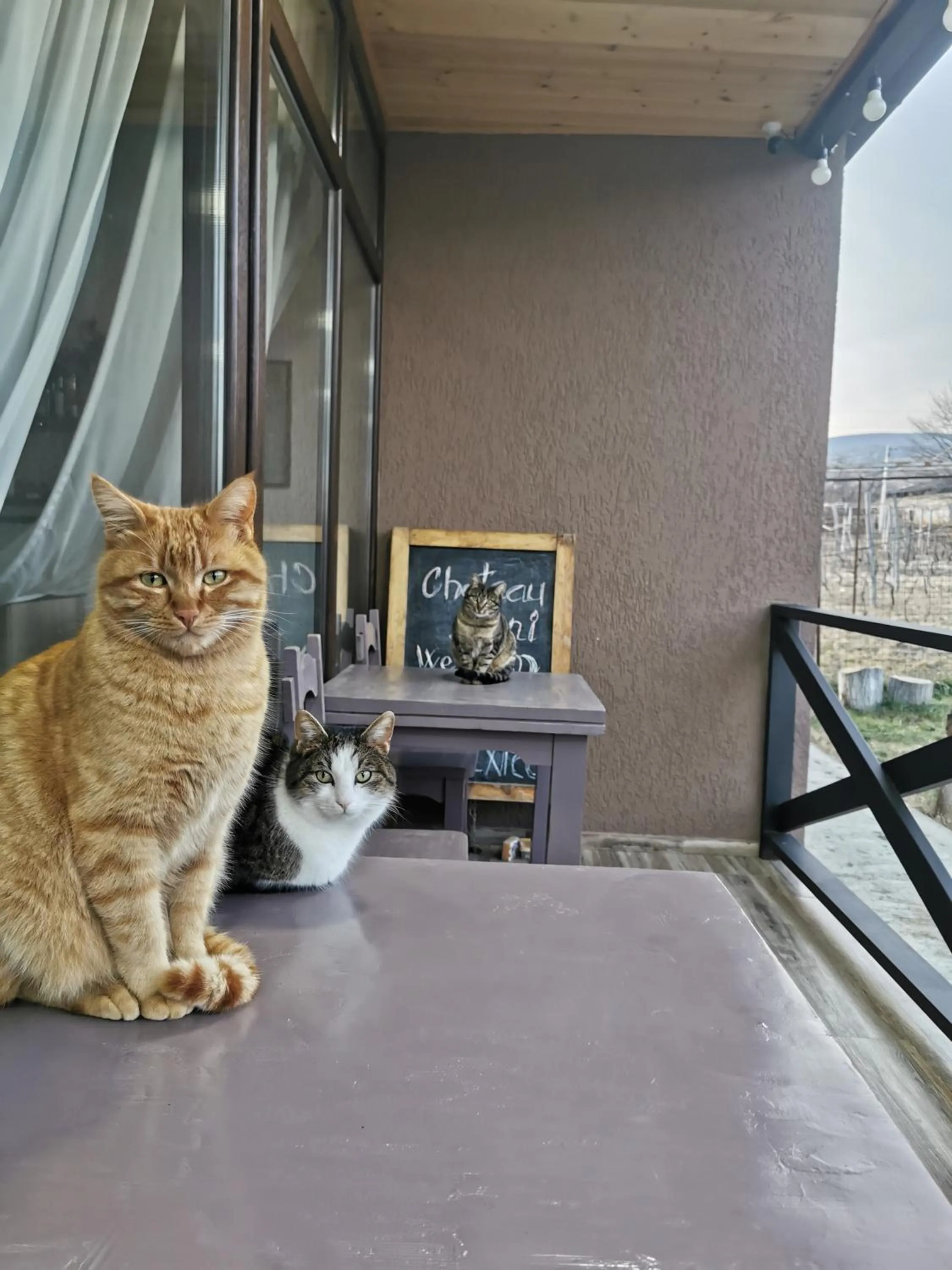 Chateau Ateni Cottages