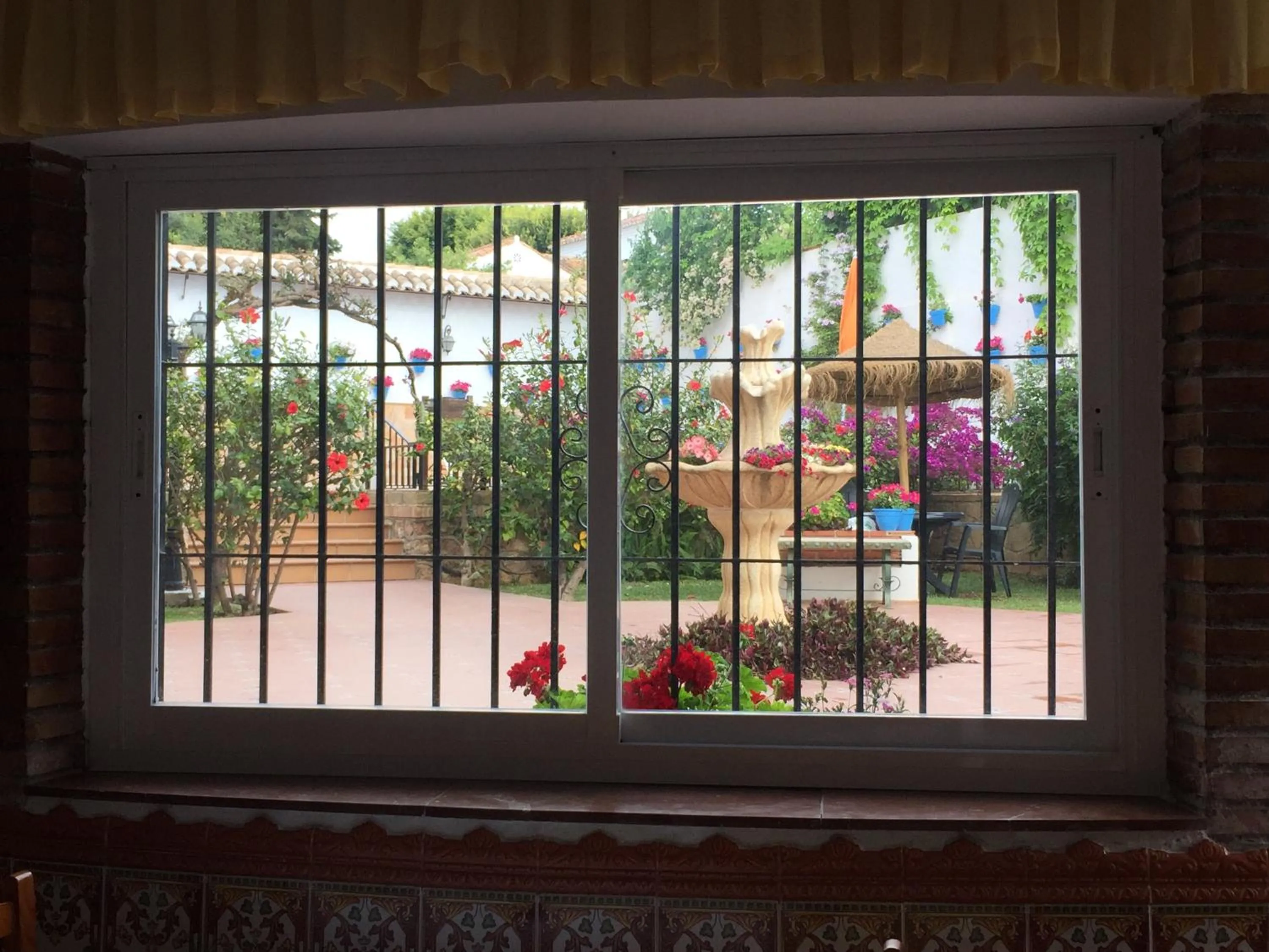 Garden in Hotel Carmen Teresa