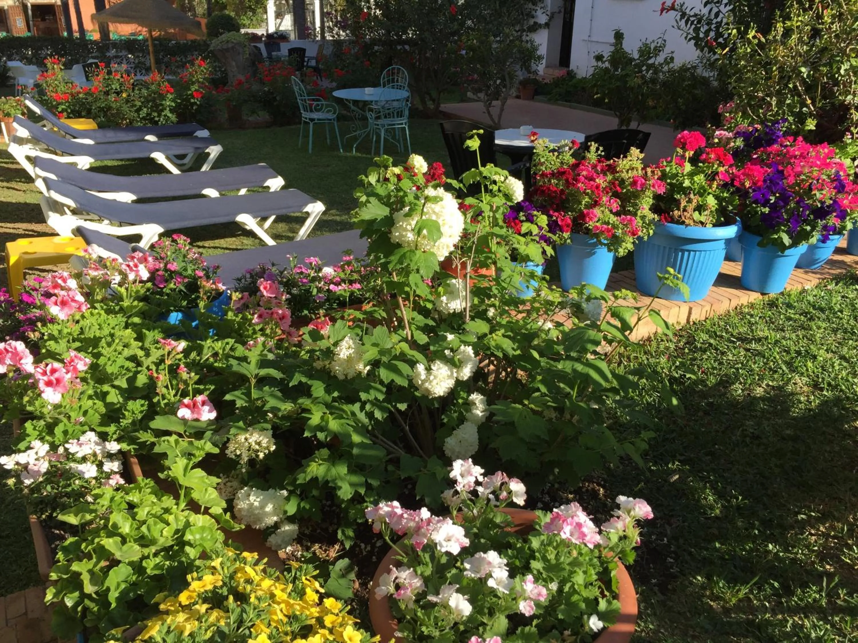 Garden in Hotel Carmen Teresa