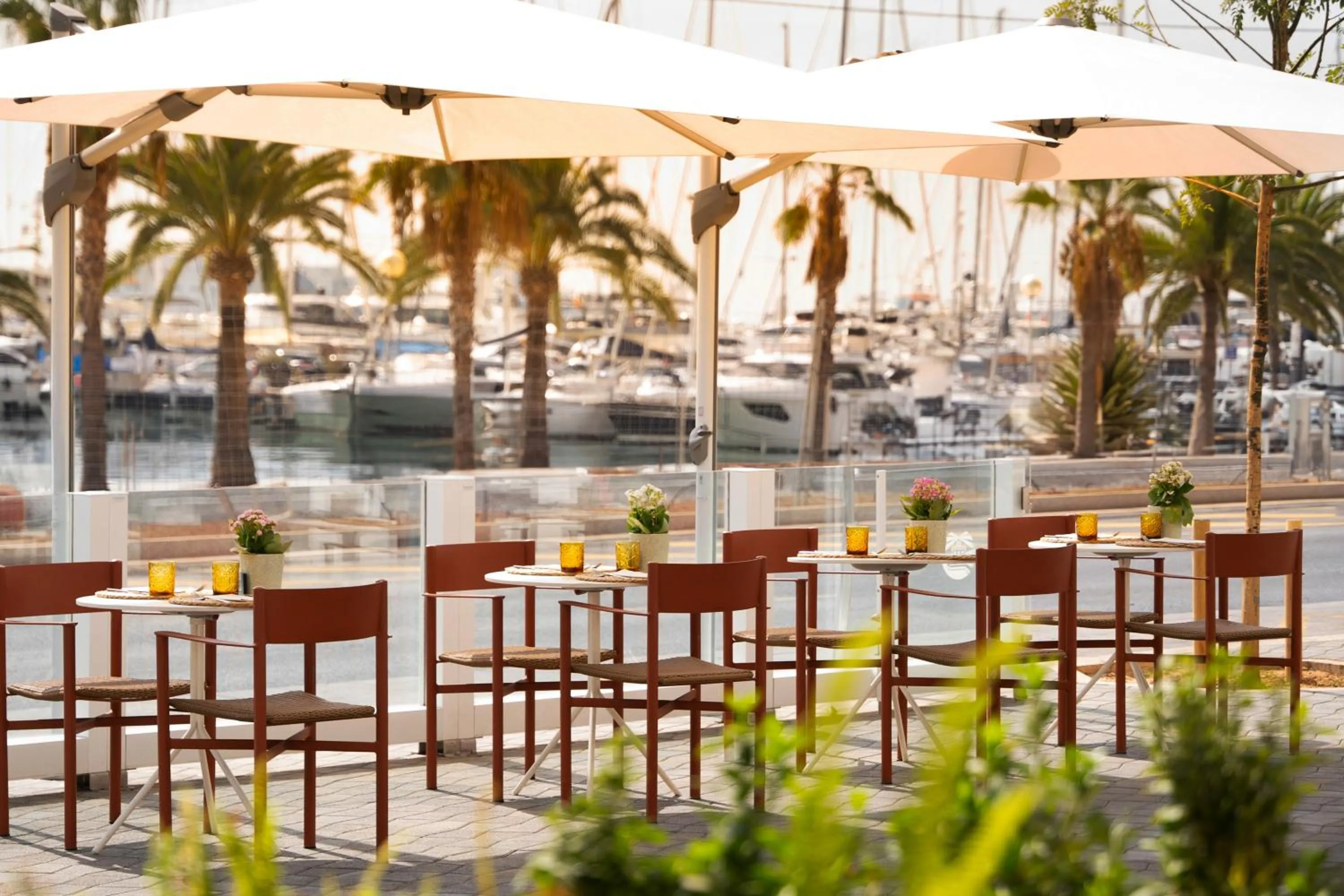 Restaurant/places to eat in Meliá Palma Marina