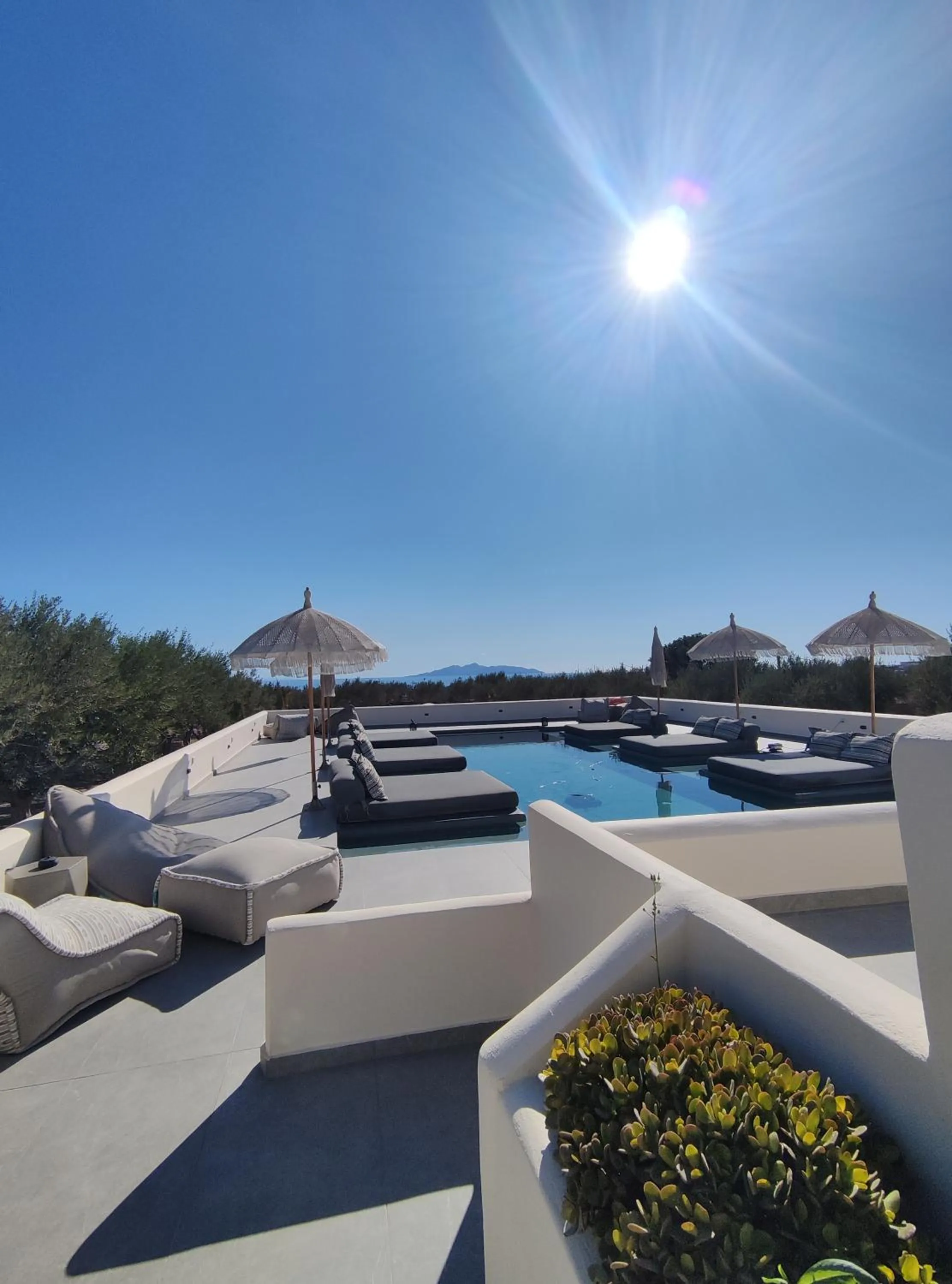 Zaitun Luxury Suites