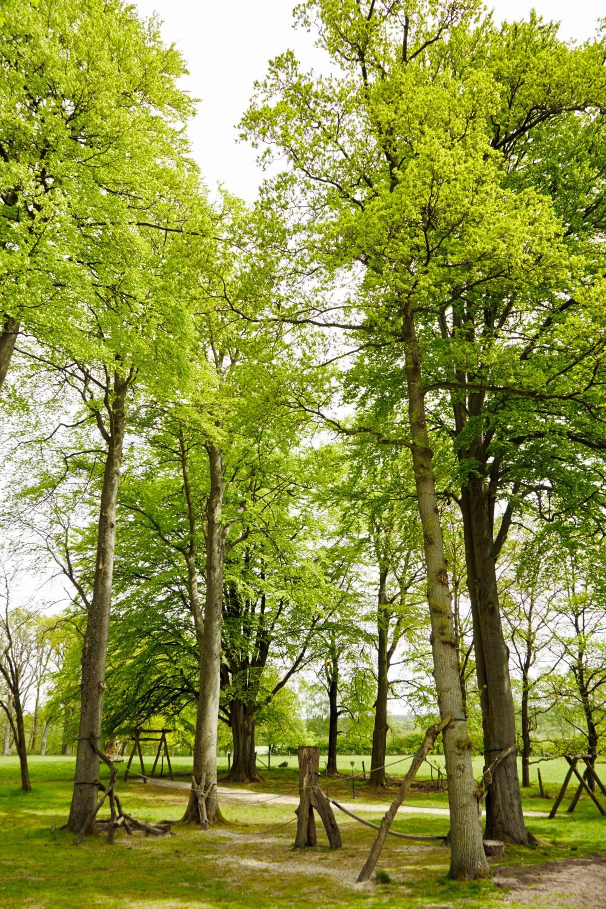 View (from property/room) in Hotel Hof Tütsberg