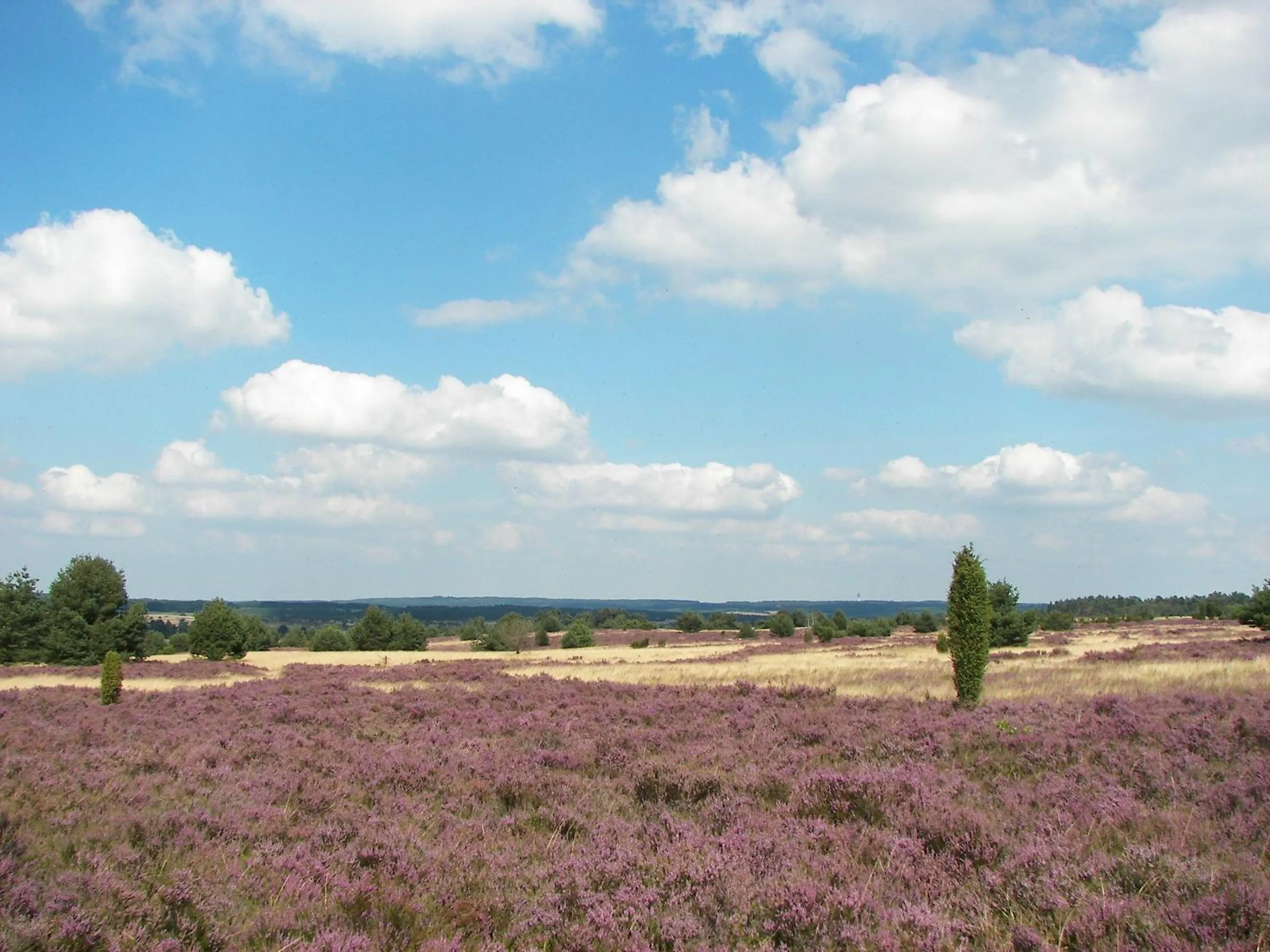 Day in Hotel Hof Tütsberg