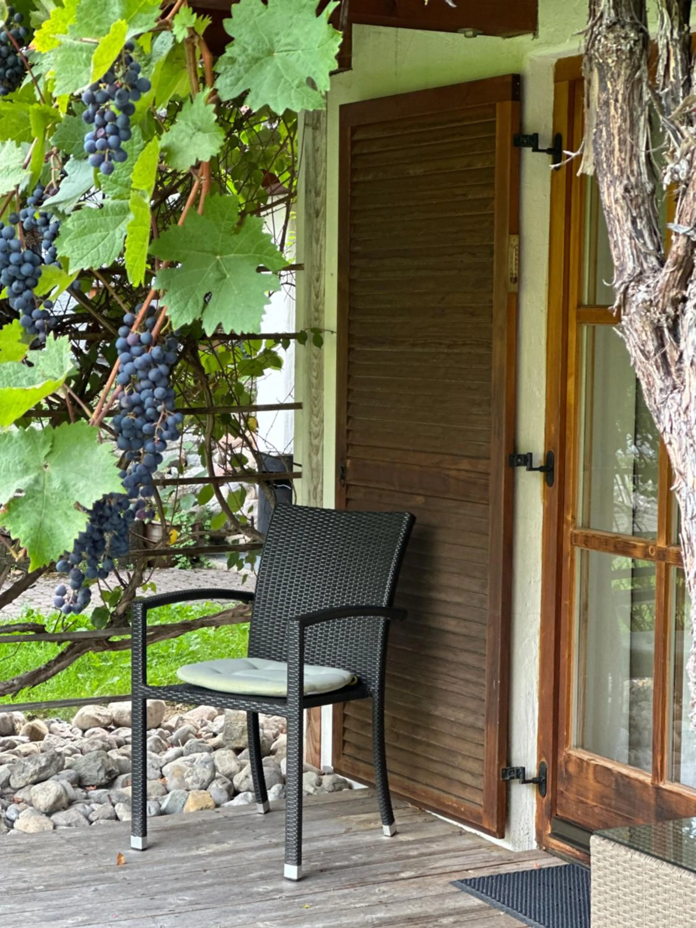 Balcony/Terrace in Landhotel Maiergschwendt inkl Chiemgaukarte
