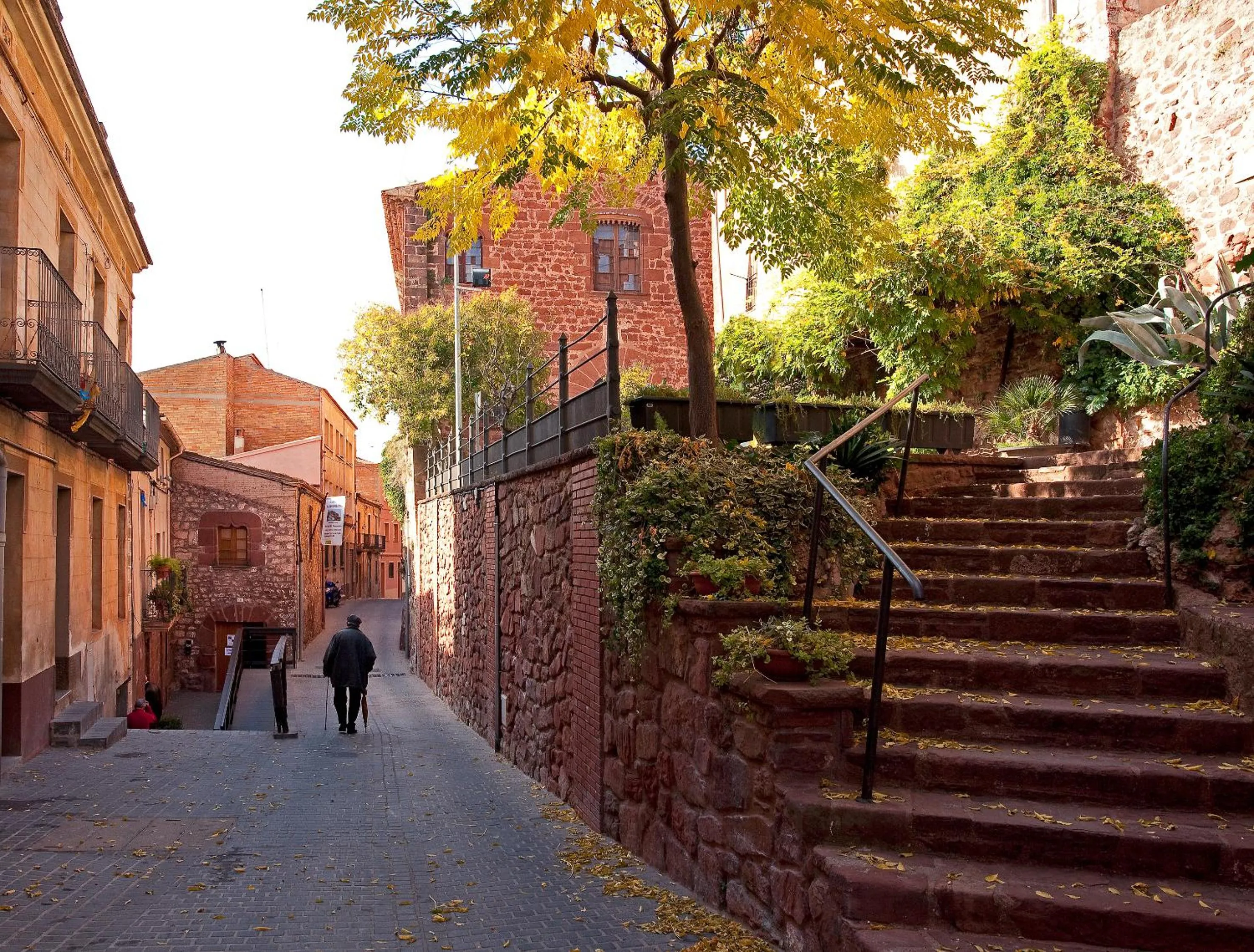 Area and facilities in Can Fisa Hotel & Apartments