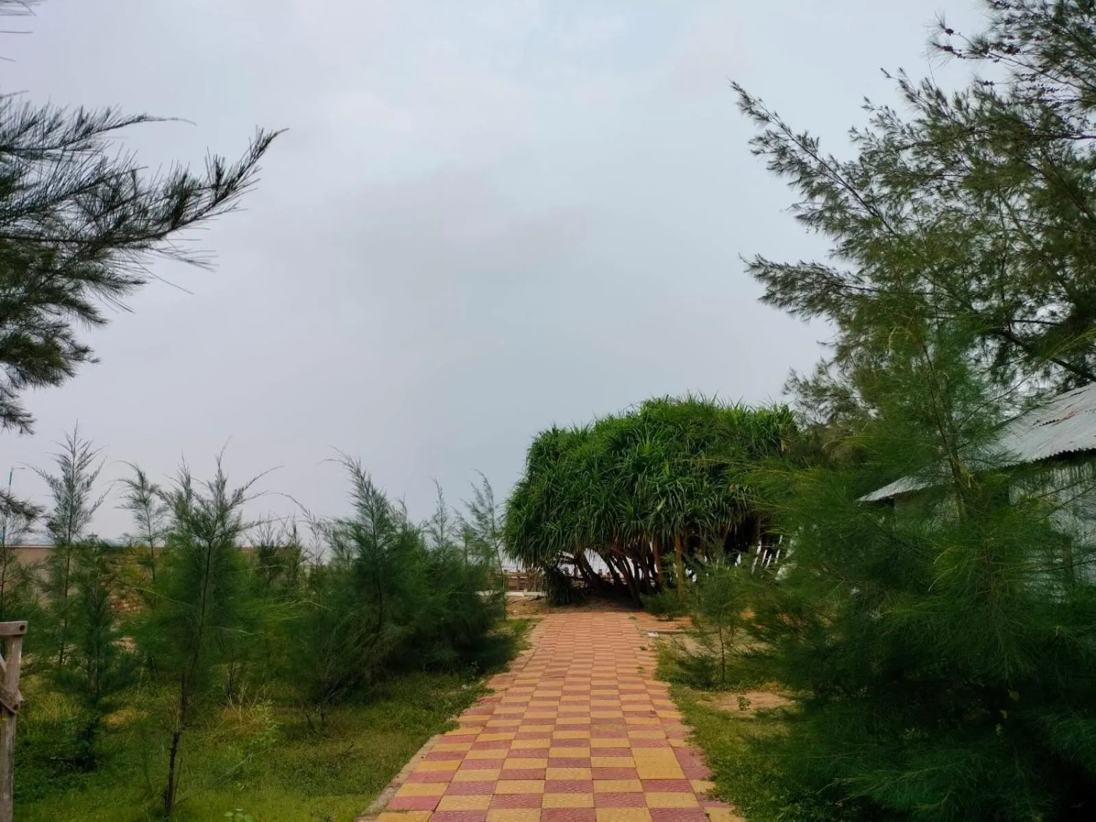 Day in Sea Wave Beach Resort