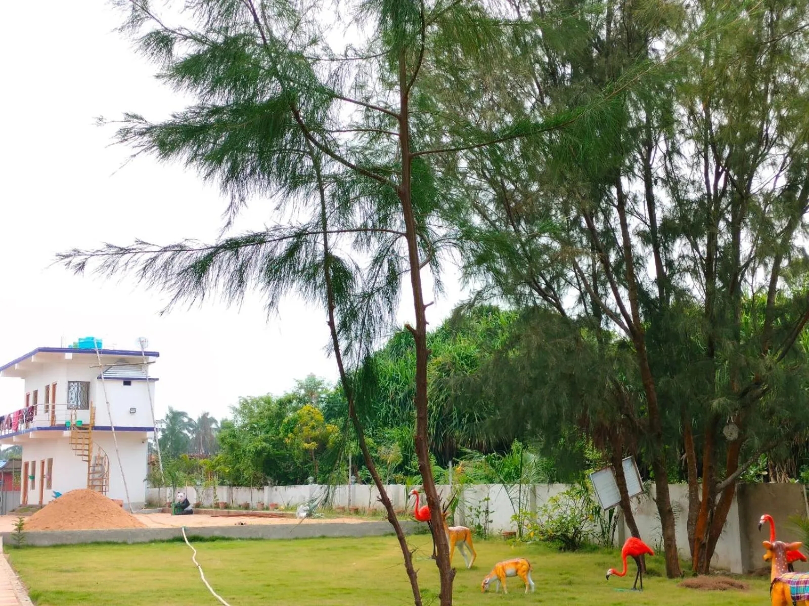 Natural landscape in Sea Wave Beach Resort