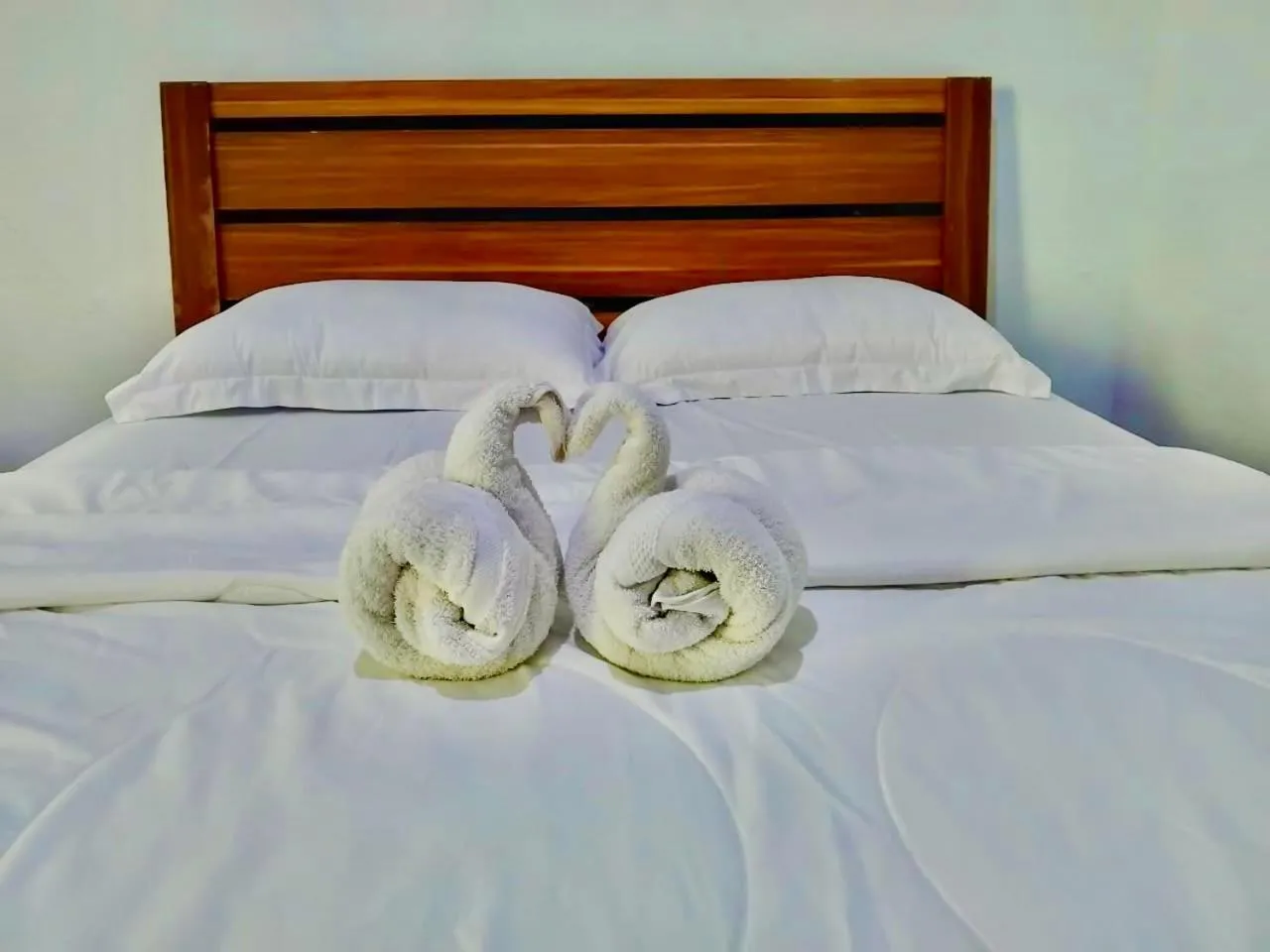 Tarsius Homestay Tangkoko