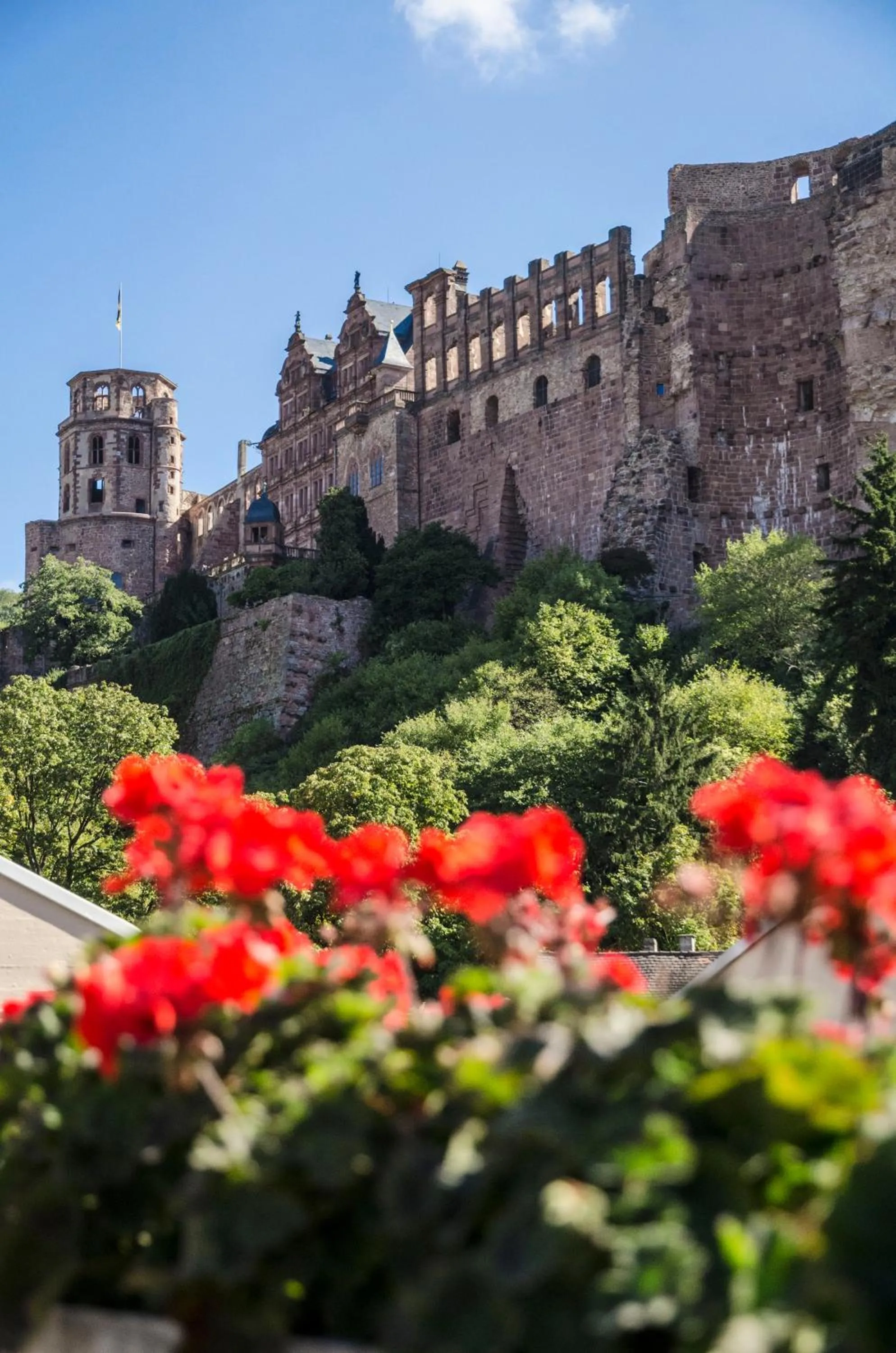 Nearby landmark in Hotel am Schloss