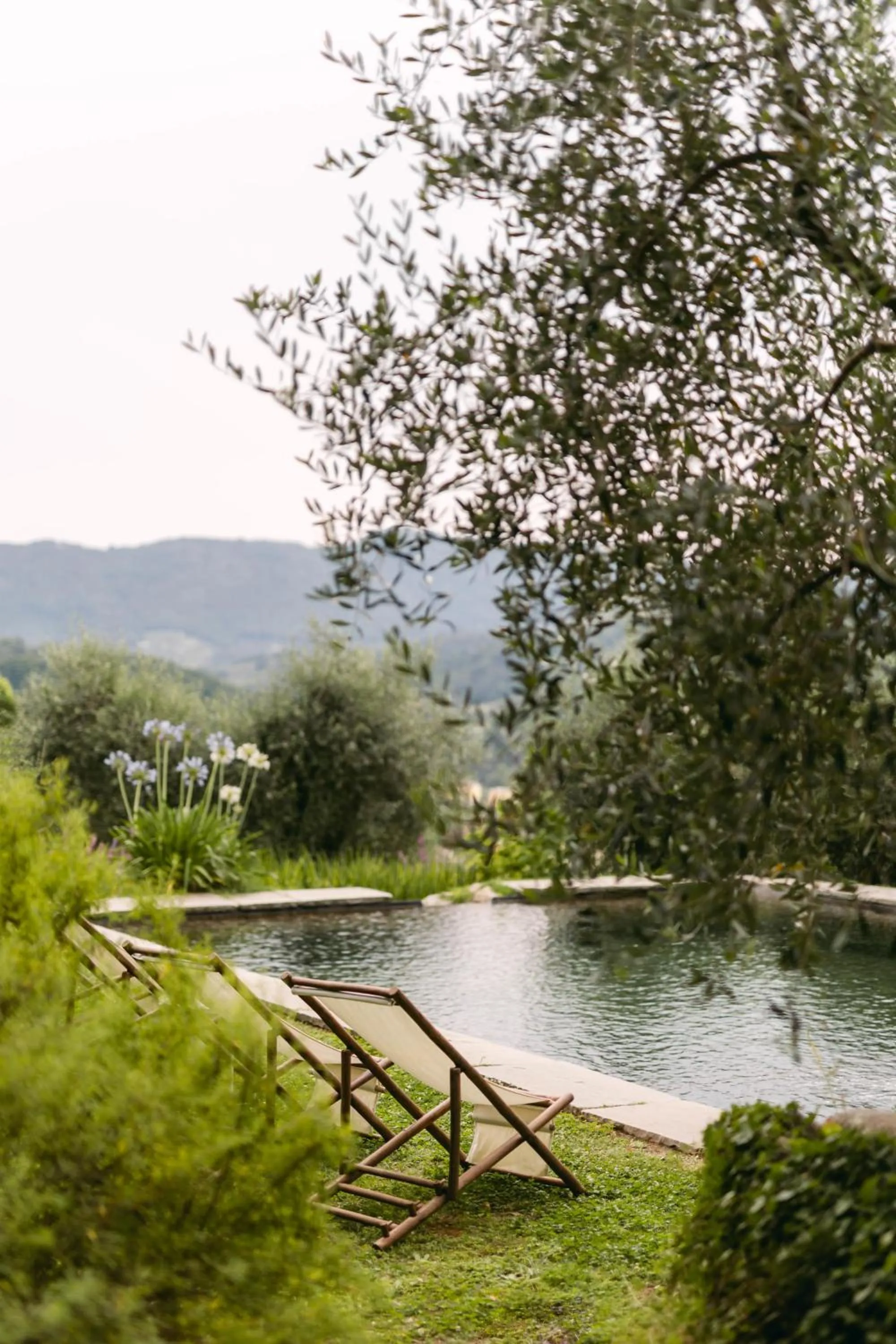 Natural landscape in Tenuta di Tramonte Boutique Hotel
